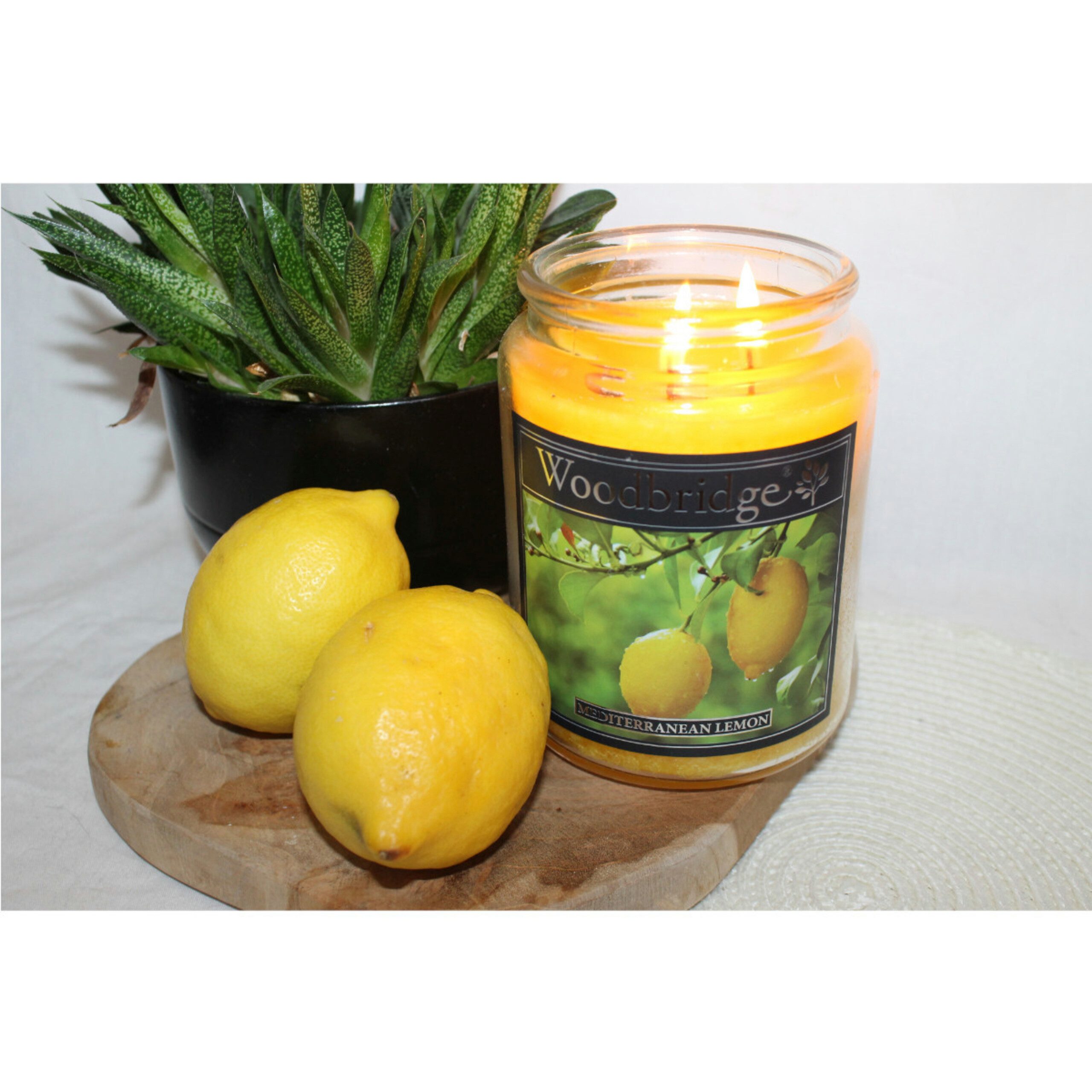 Woodbridge Duftkerze Woodbridge Duftkerze, Mediterranean Lemon günstig online kaufen