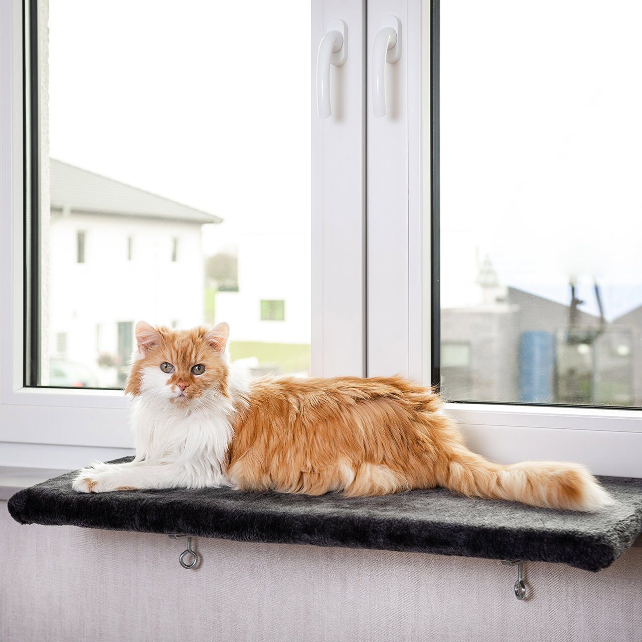 Canadian Cat Company Katzen-Hängematte Snuggly Place, anthrazit, 75x35x2cm, gepolsterte Liege - Aussichtsplattform für die Fensterbank