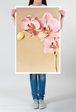 Sinus Art Poster 90x60cm Poster Naturfotografie Rosa Orchideenzweig mit altrosa Hintergrund