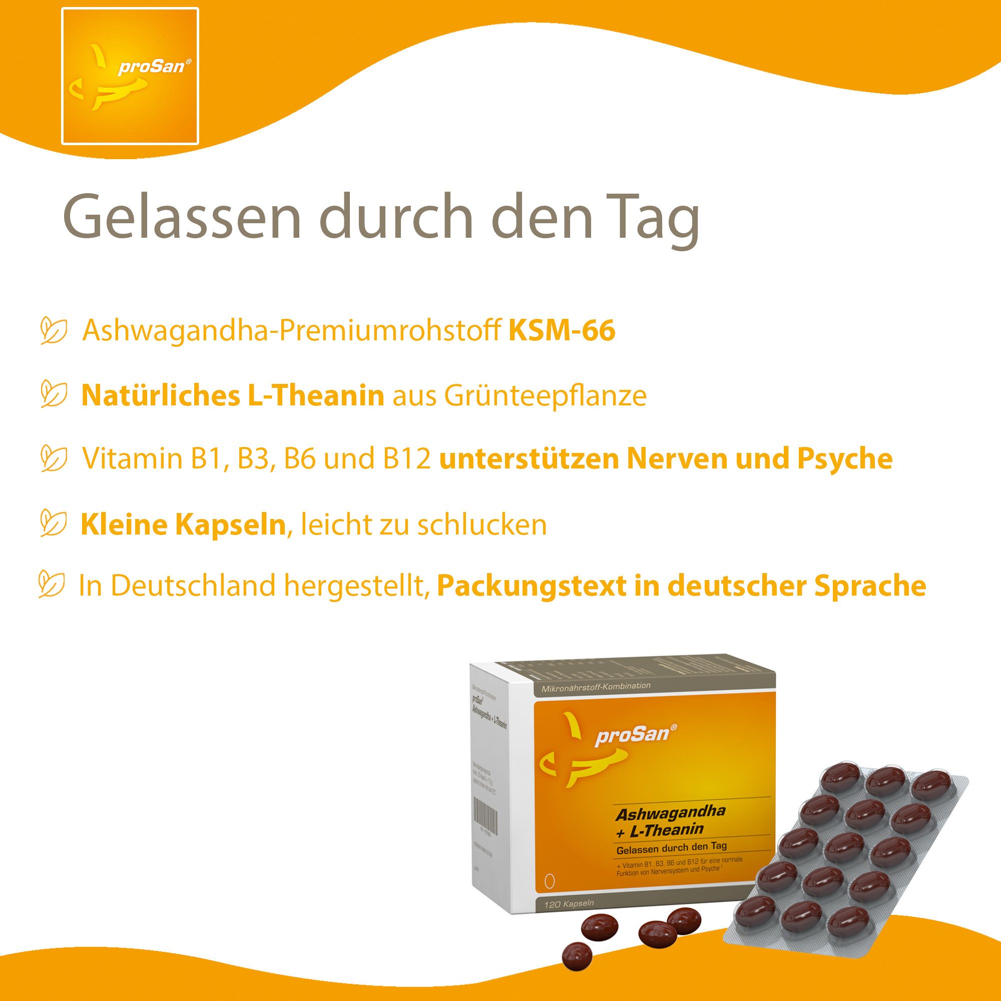 proSan Ashwagandha + L-Theanin, innere Ruhe, incl. B1, B3, B6 & B12, Kapseln, 120 St., 115 g