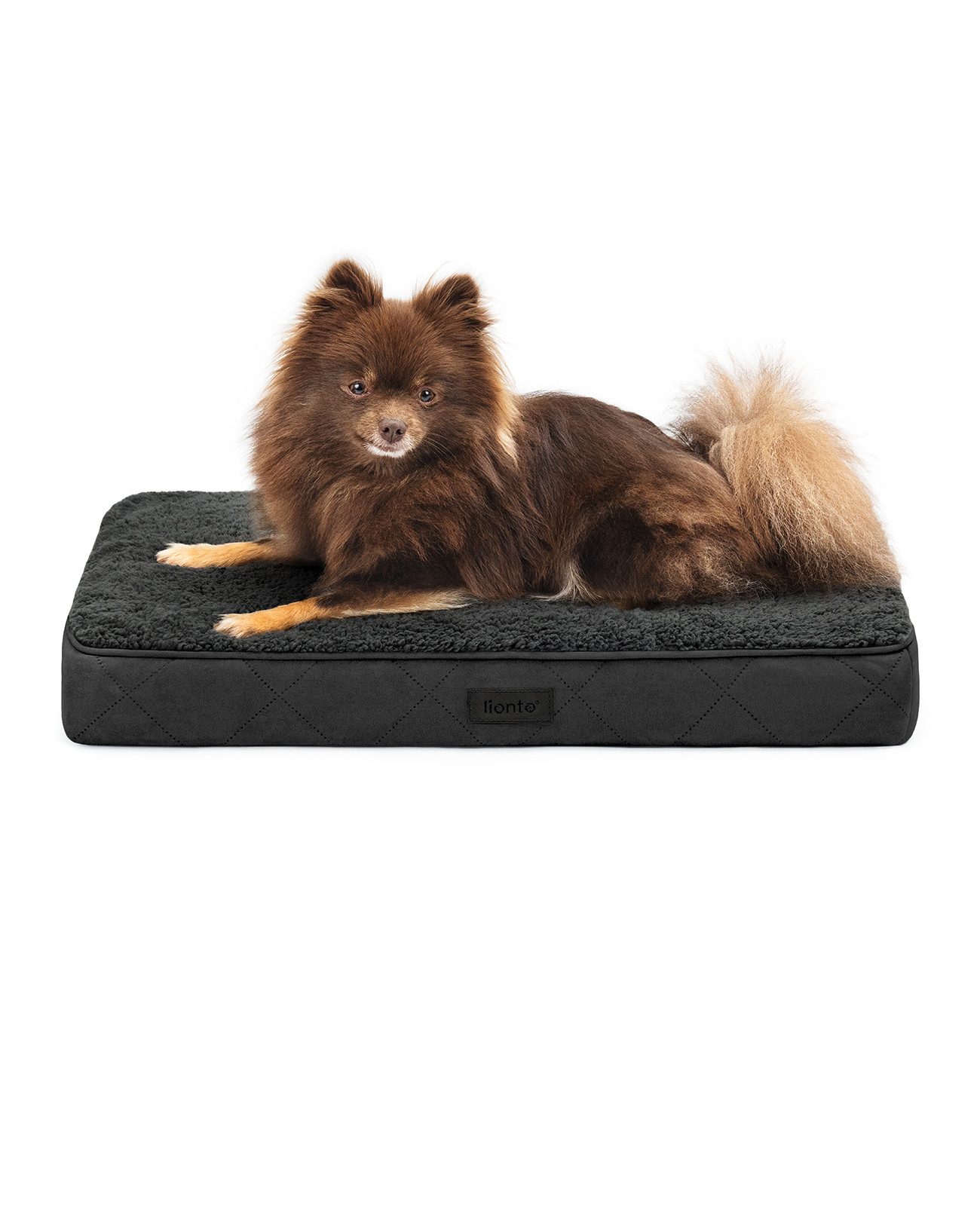 lionto Tierkissen orthopädisch Memoryfoam, Plüschoberfläche & Wildlederimitat, abnehmbarer, waschbarer Bezug & Tragegriff