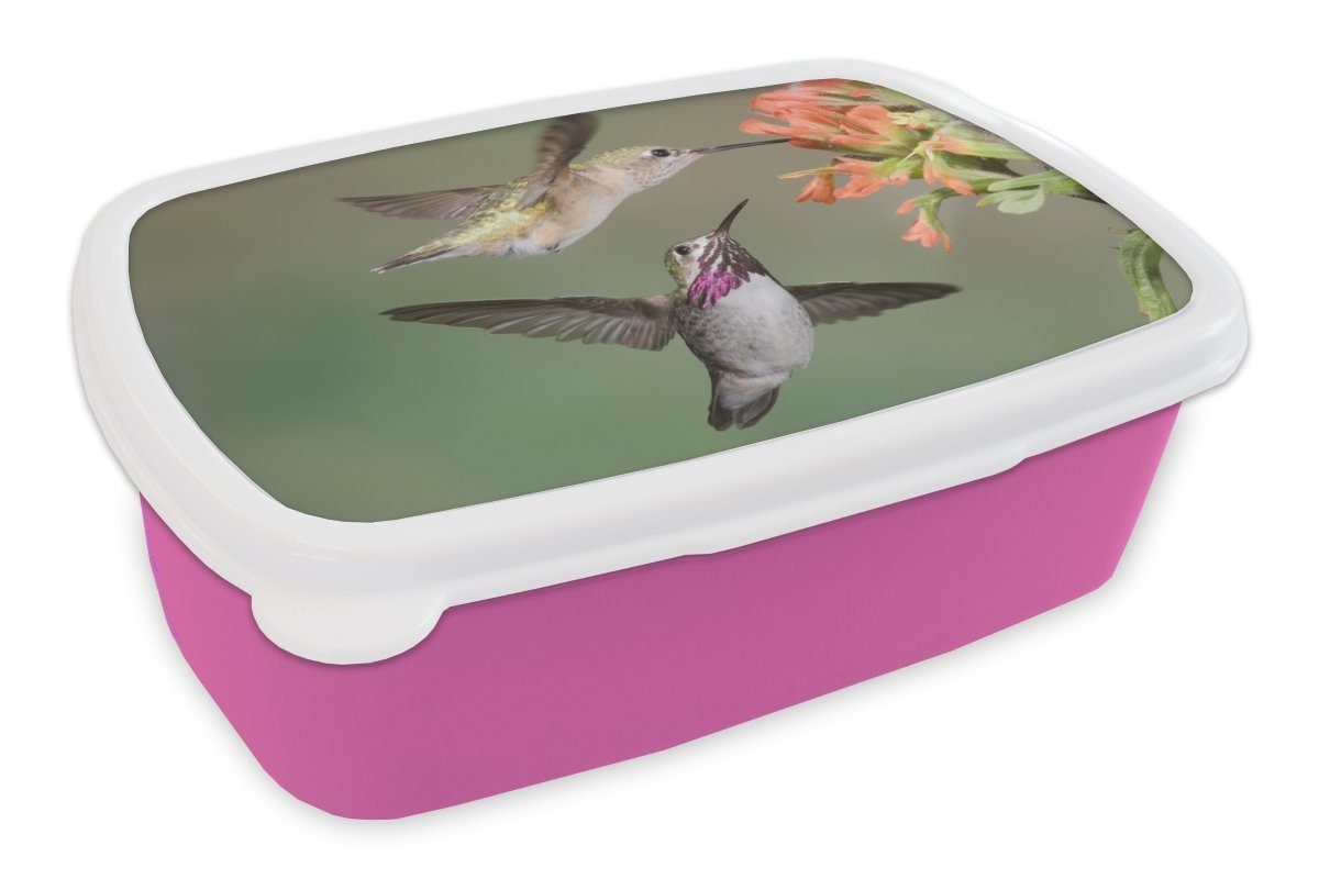 MuchoWow Lunchbox Kolibri - Vogel - Kinder, (2-tlg), für Erwachsene, Brotdose Snackbox, Kunststoff Mädchen, rosa Brotbox Kunststoff, Blume