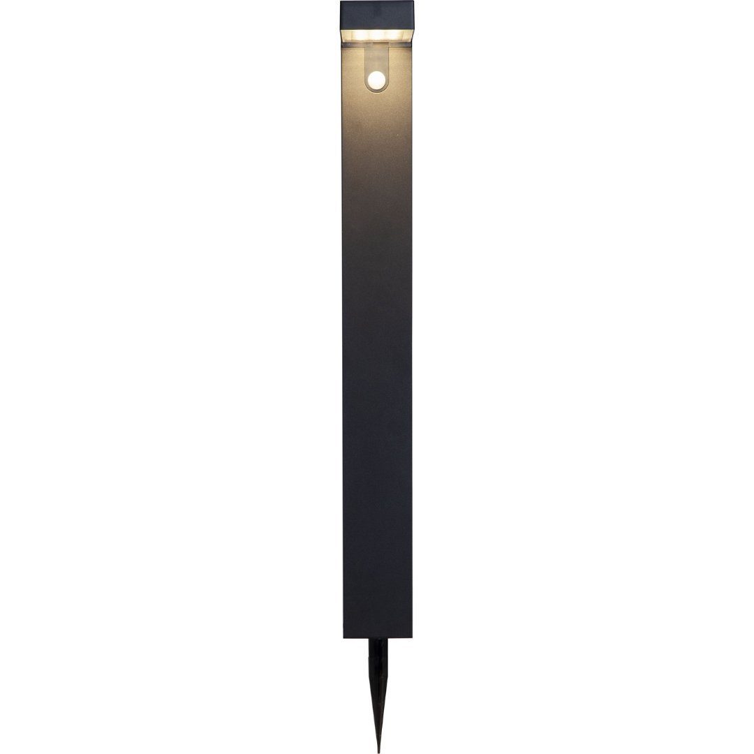 STAR TRADING LED Gartenleuchte LED-Solar-Wegeleuchte"Vici" mit günstig online kaufen