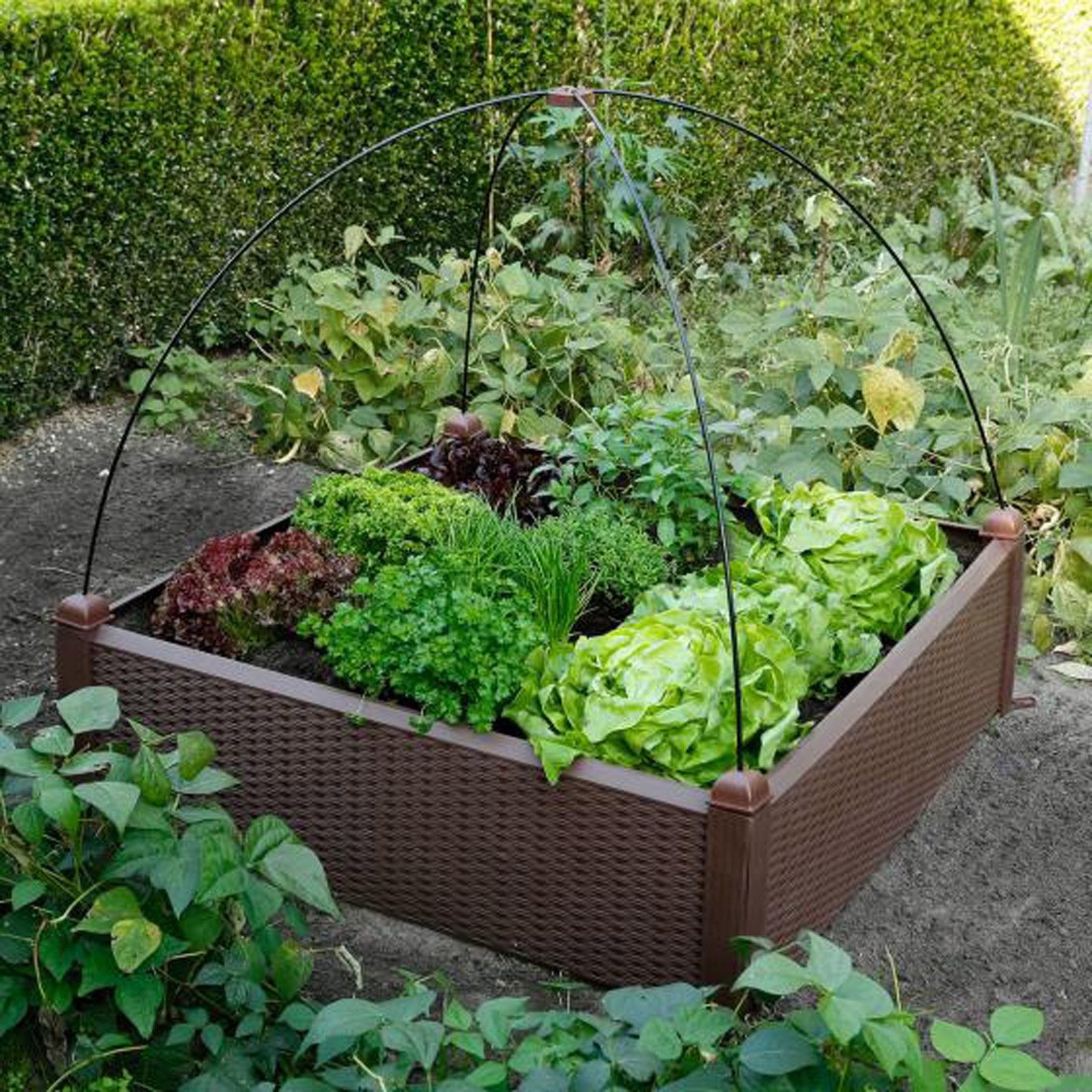 HTI-Living Hochbeet Hochbeet mit Rankhilfe Nessa (Stück, 1 St., 4 Seitentei günstig online kaufen