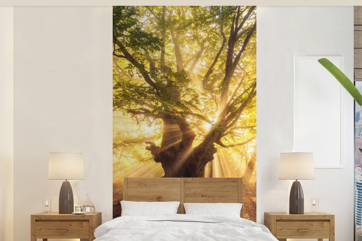 Vliestapete Fototapete - bedruckt, Küche, Baum St), - für MuchoWow Fototapete Sonne, (2 Schlafzimmer Wohnzimmer Matt, Wald