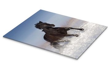 Posterlounge Acrylglasbild Editors Choice, Pferd galoppiert durch den Schnee, Fotografie