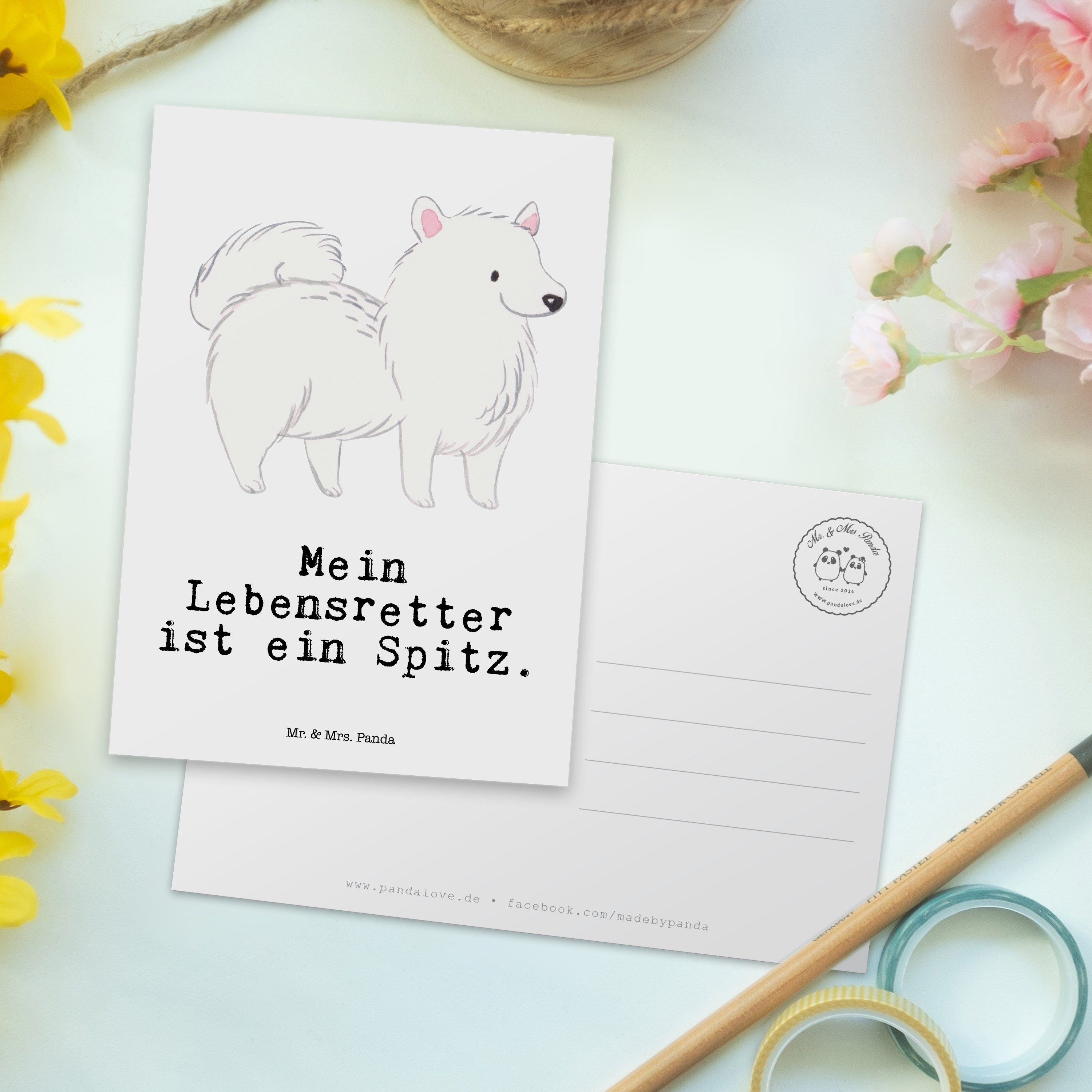 Rassehund Spitz Weiß - Tierfreund, & - Lebensretter Schenken, Mrs. Panda Geschenk, Mr. Postkarte
