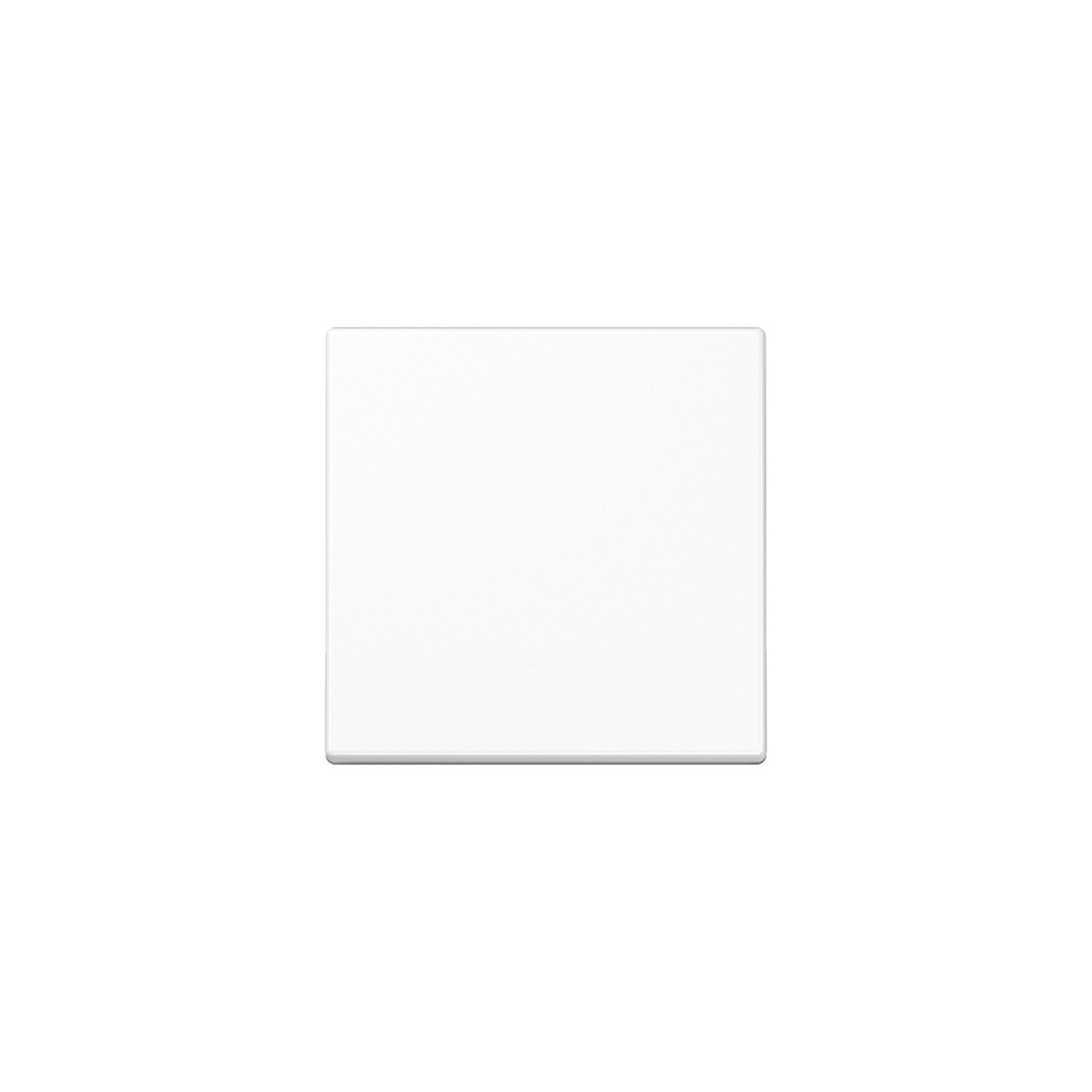 JUNG Schalter Jung Wippe aws für Taster A 590 WW