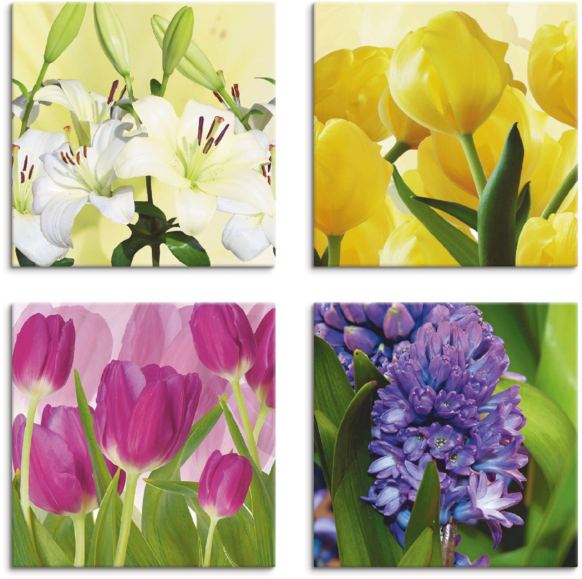 verschiedene Lilien Hyazinthe, Blumen 4er Set, (4 St), Tulpen Größen Leinwandbild Artland