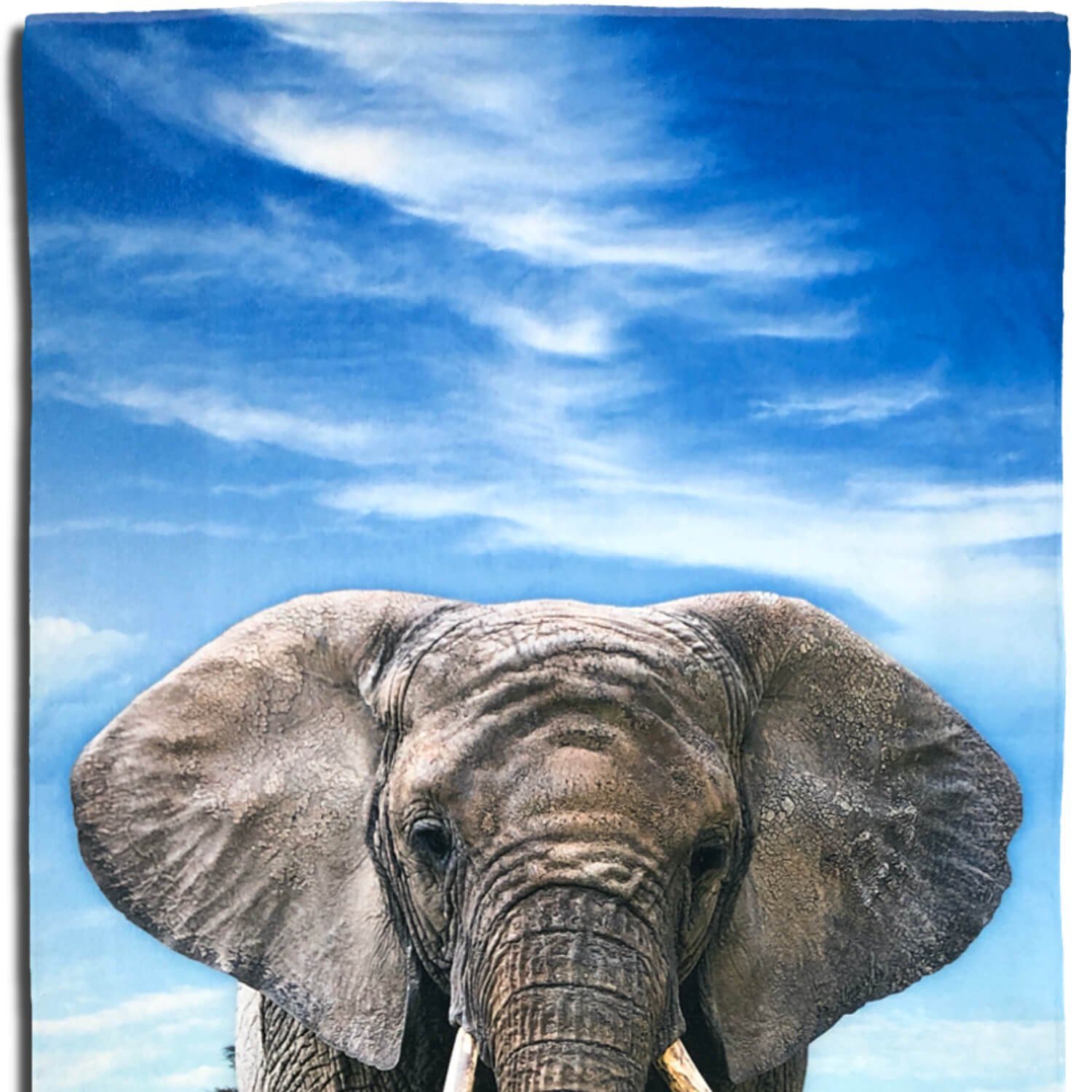 ESPiCO Strandtuch Elefant, Frottee-Velour (1-St), Safari, Wildnis, Tierwelt günstig online kaufen