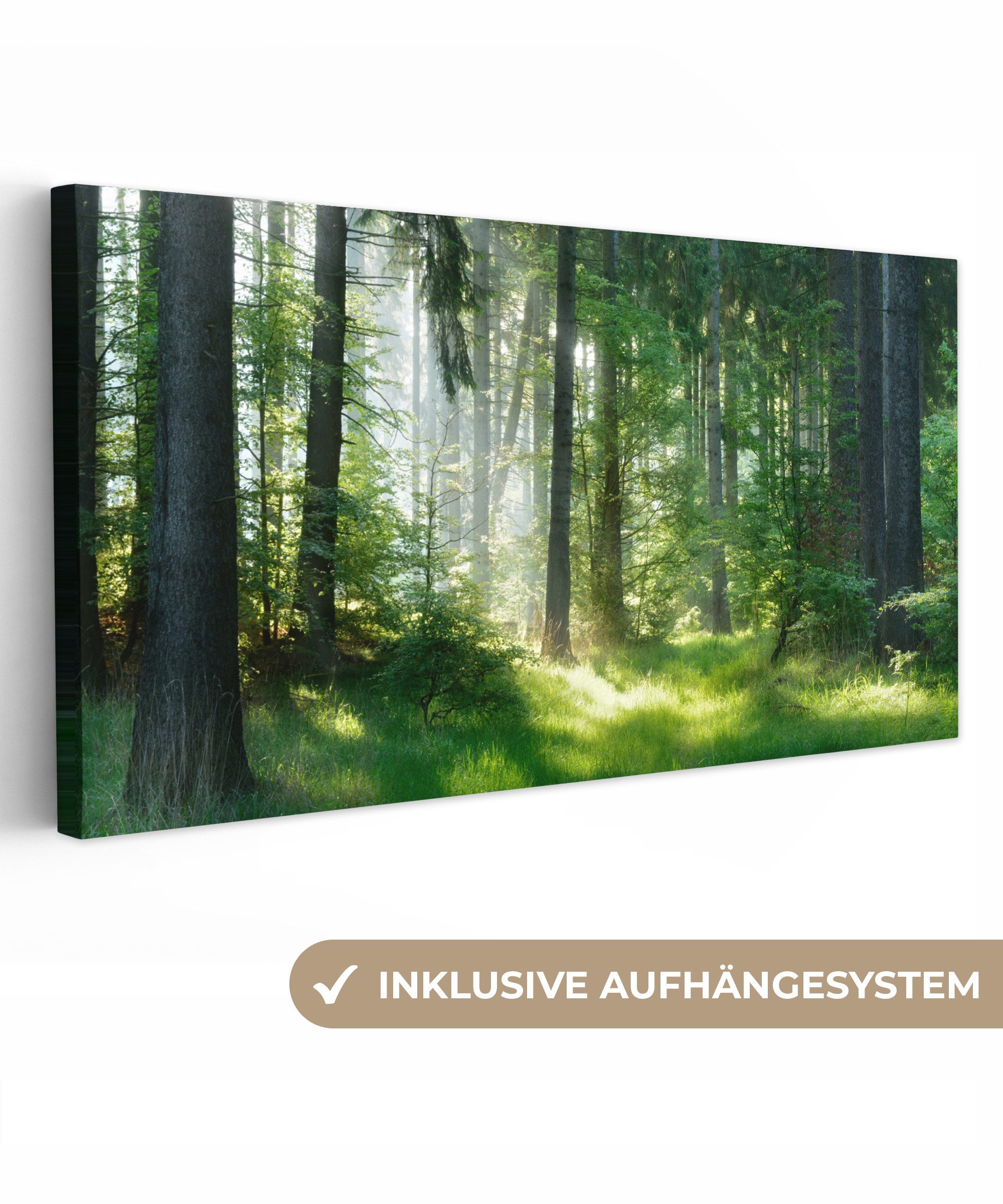 OneMillionCanvasses® Leinwandbild Panorama Natur - Bäume günstig online kaufen