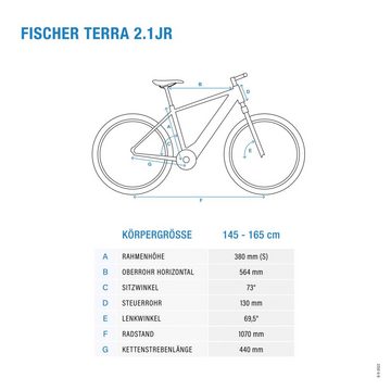 FISCHER Fahrrad E-Bike TERRA 2.1 Junior 422, 8 Gang, Kettenschaltung, Heckmotor, 418 Wh Akku, Pedelec, Elektrofahrrad für Damen u. Herren, ATP