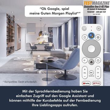 Homatics Box R 4K Plus Android TV + DVB-S2X Sat Tuner Netzwerk-Receiver