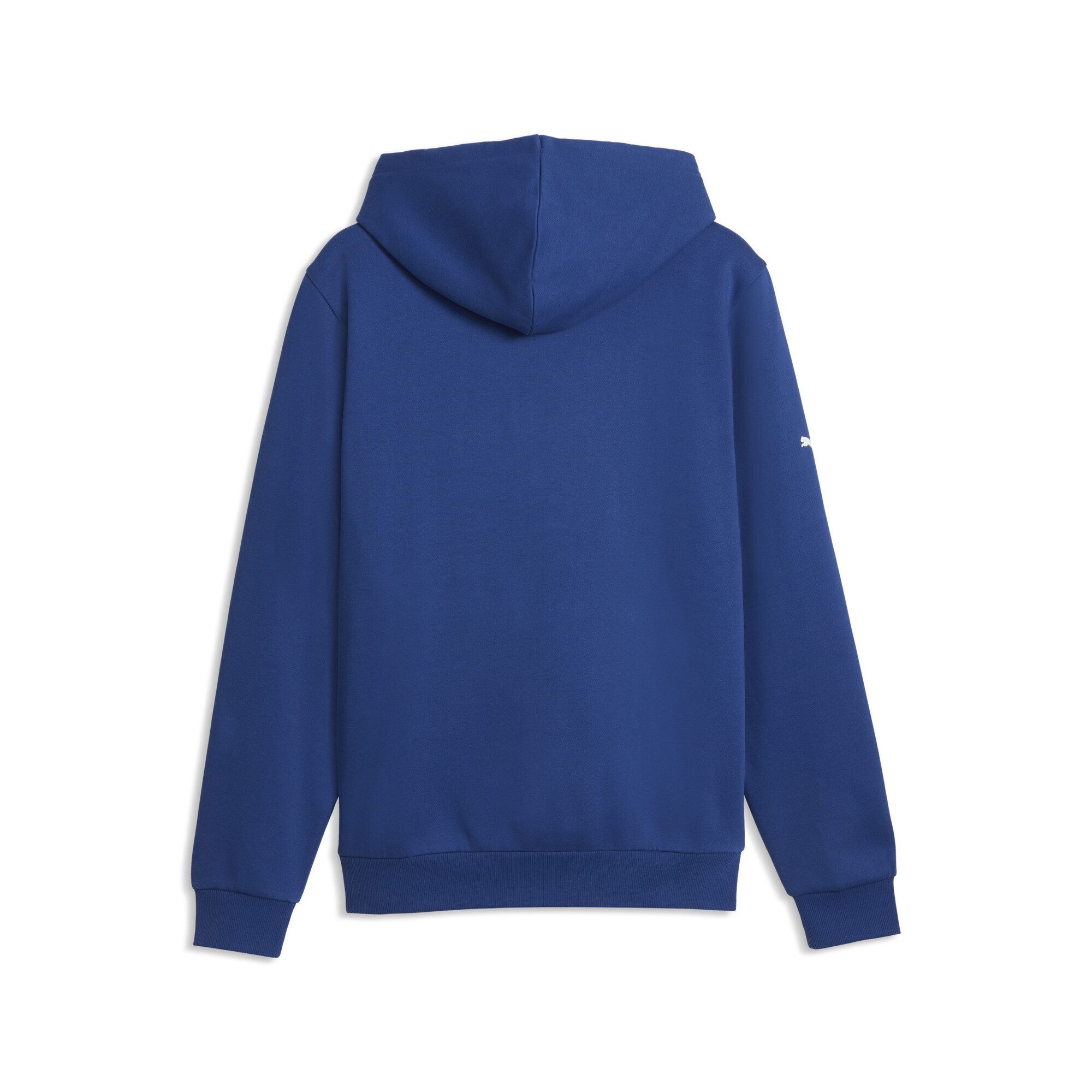 PUMA Hoodie BMW M MOTORSPORT Essentials Hoodie Herren