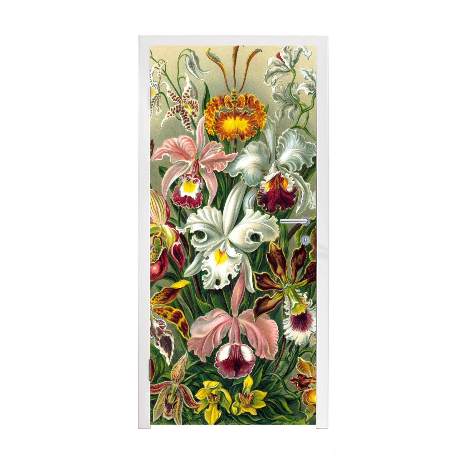MuchoWow Türtapete Gestaltung - Blumen - Pflanzen - Ernst Haeckel, Matt, bedruckt, (1 St), Fototapete für Tür, Türaufkleber, 75x205 cm