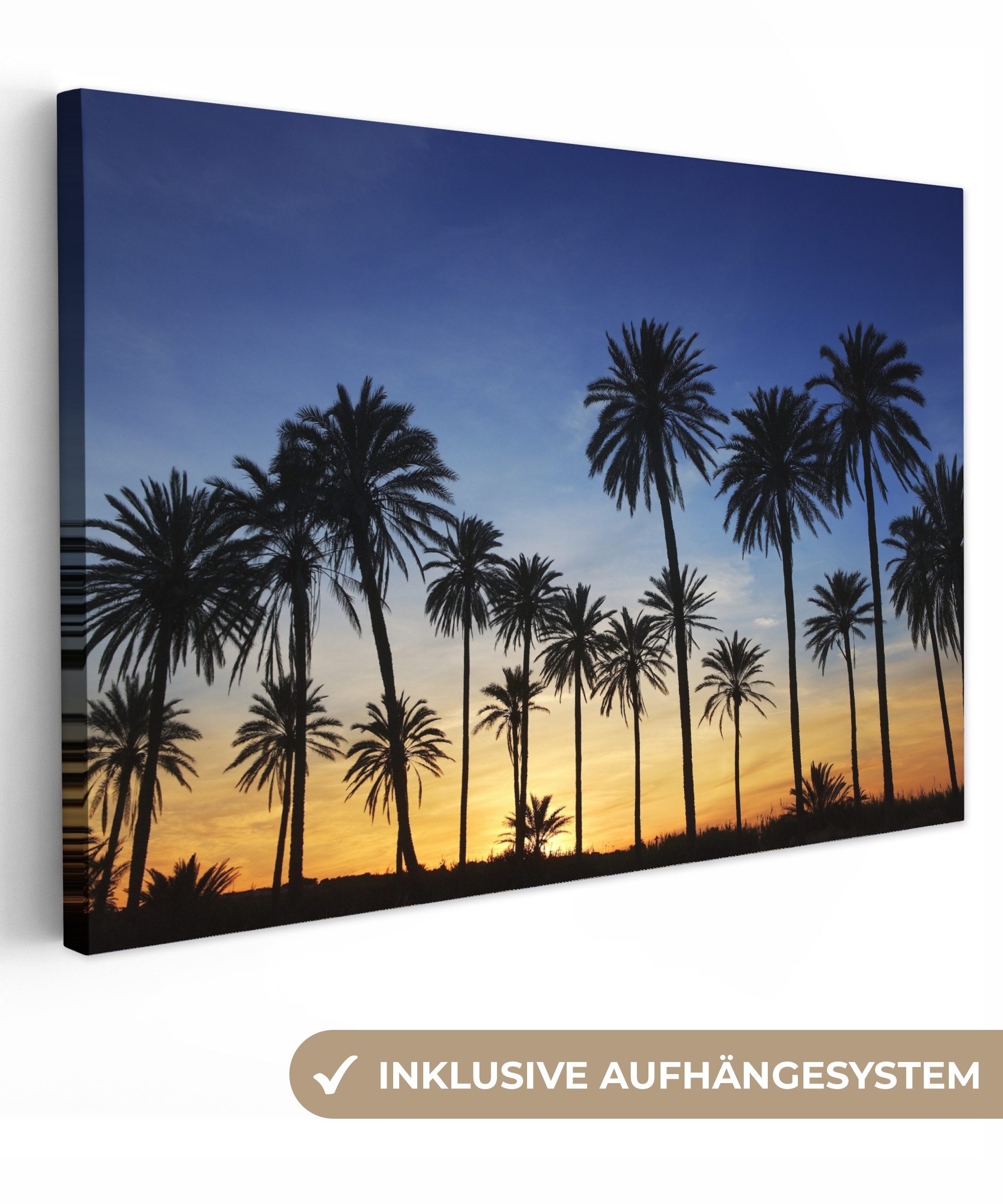 OneMillionCanvasses® Leinwandbild Palme - Natur - günstig online kaufen