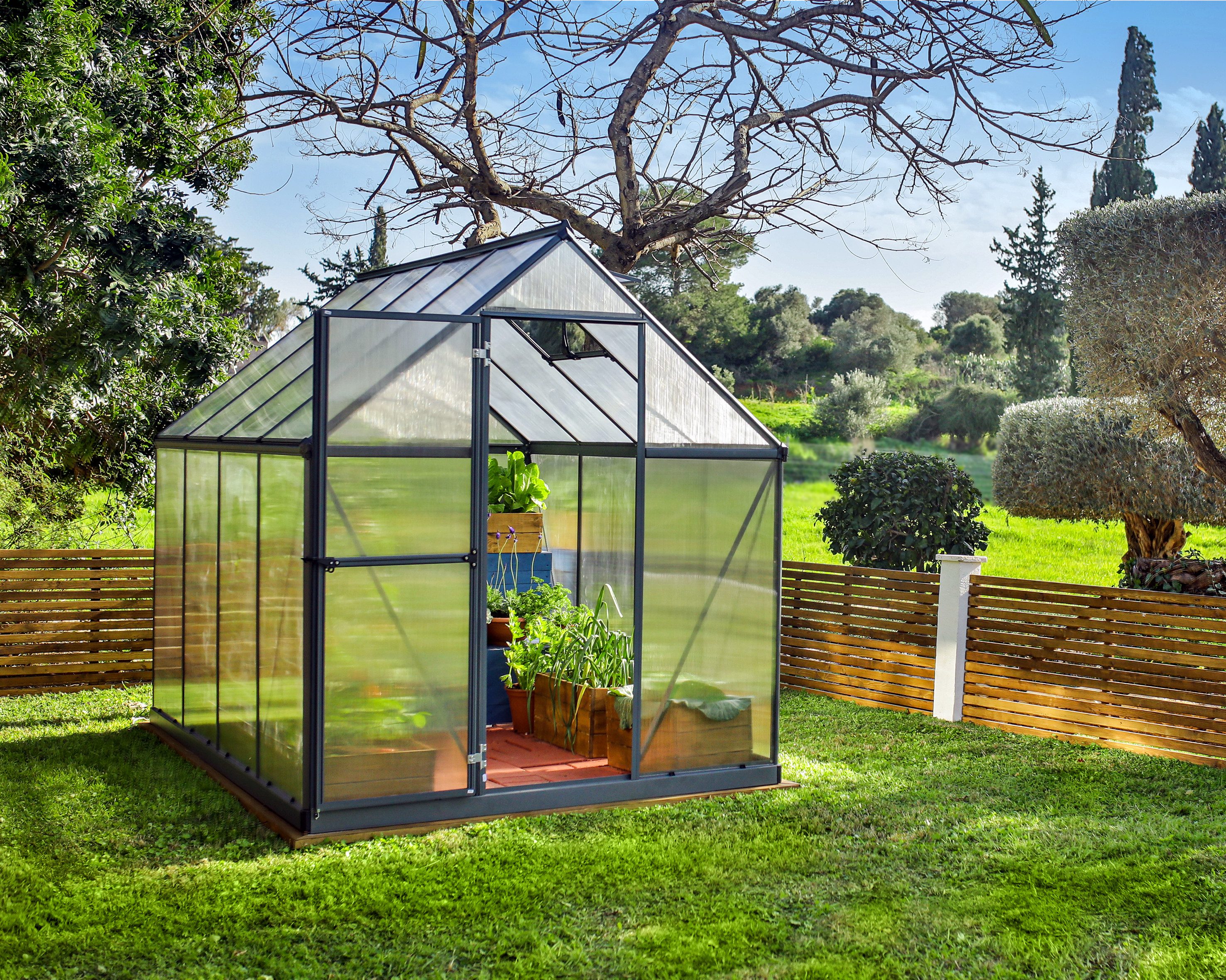 Palram – Canopia Gewächshaus Mythos, BxTxH: 185 x 247 x 208 cm, BxLxH: 58 x 120 x 208 cm, 4 mm Wandstärke, lebenslang widerstandsfähige Wandpaneele grau|grün | Rabatt: 12%