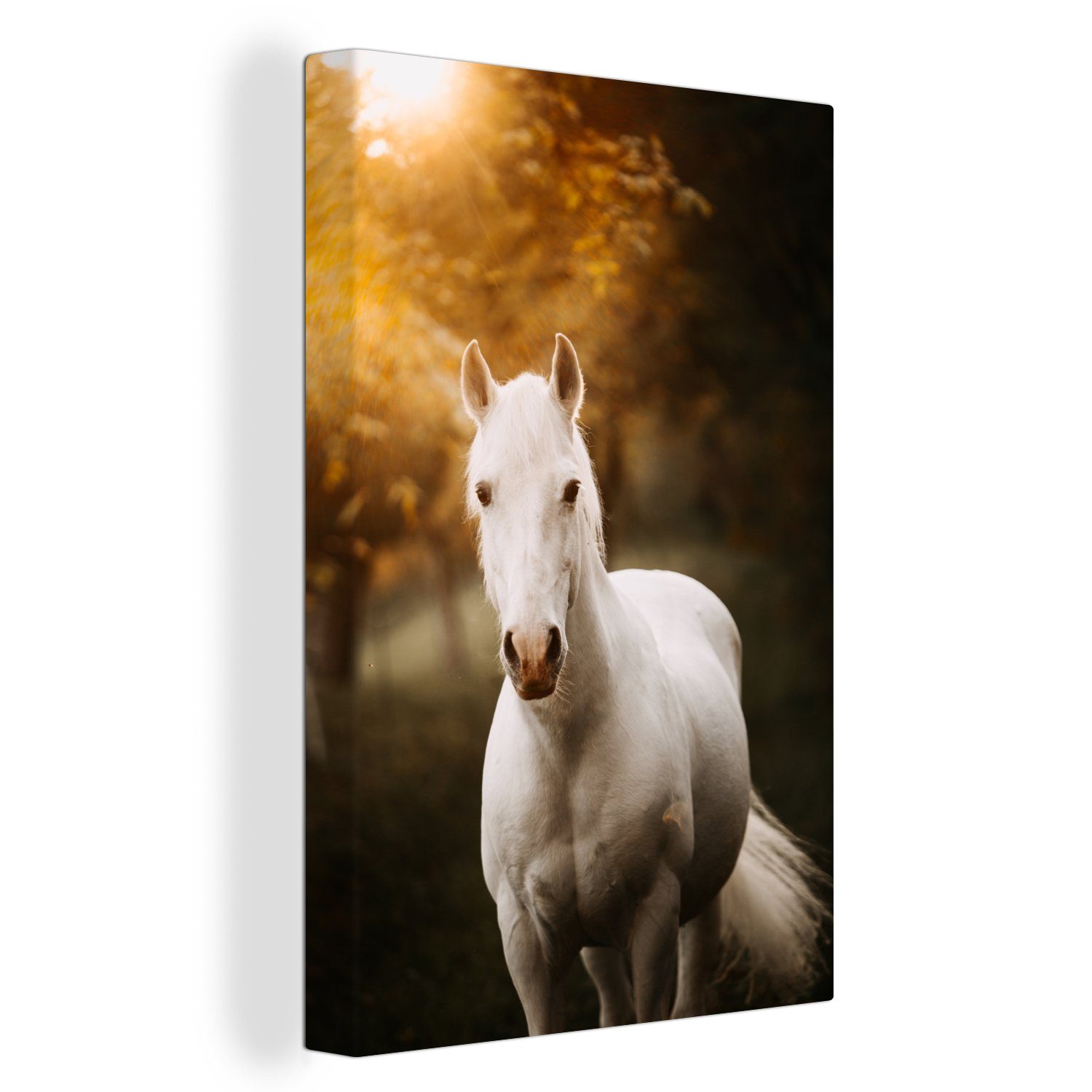 OneMillionCanvasses® Leinwandbild Pferd - Licht - Sonne, (1 St), Leinwandbild fertig bespannt inkl. Zackenaufhänger, Gemälde, 20x30 cm