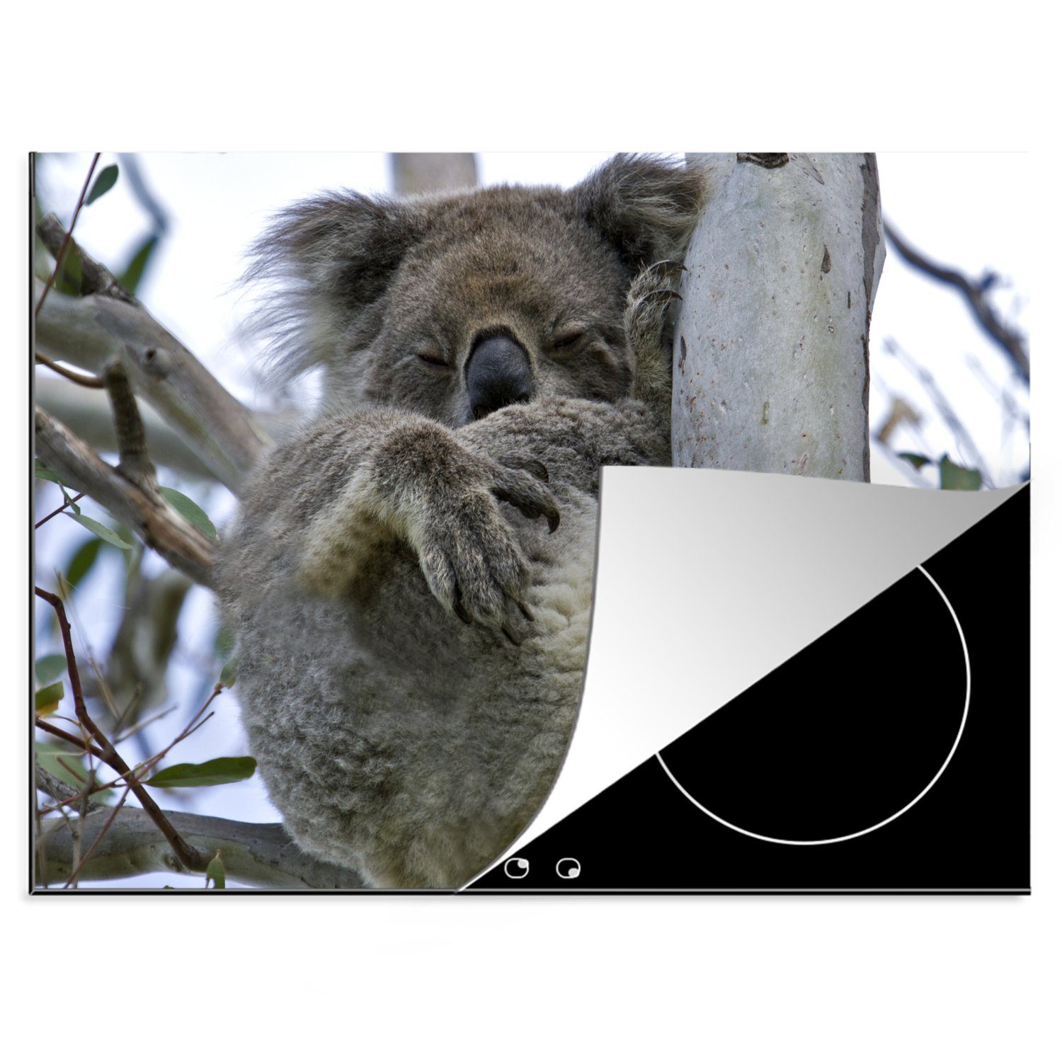 - Mobile 70x52 cm, (1 Tier, Baum Vinyl, Arbeitsfläche nutzbar, Koala tlg), Herdblende-/Abdeckplatte Ceranfeldabdeckung - MuchoWow
