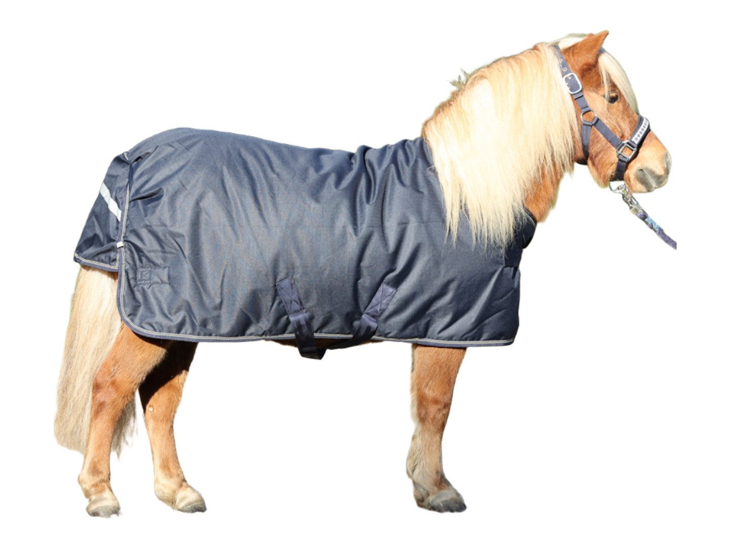 Kavalkade Ausreitdecke Outdoordecke für Shettys 100g