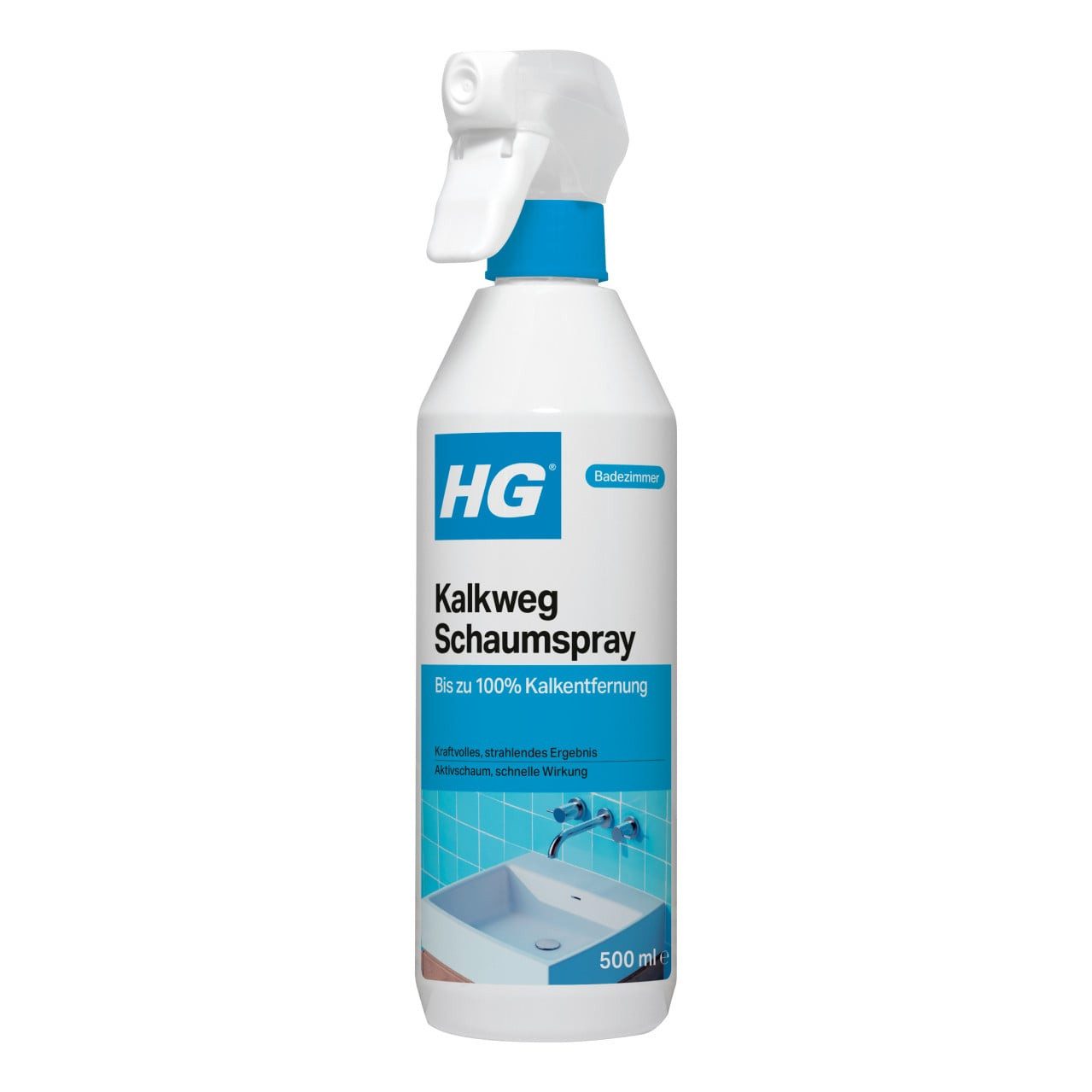 HG International B.V. HG Kalkweg Schaumspray 500 ml Kalklöser