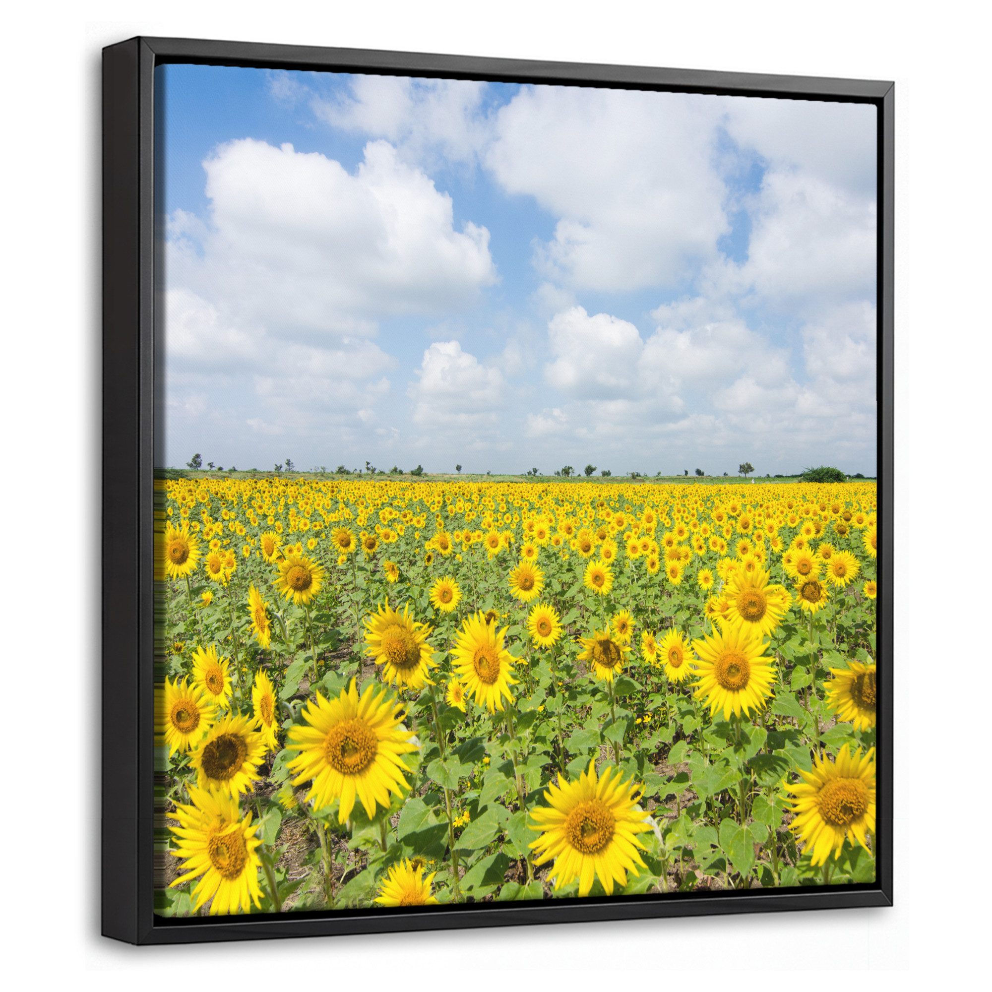 OneMillionCanvasses® Leinwandbild mit Rahmen - Sonnenblumen - Blumen - Wolken - Natur - Gelb - Landschaf, Fotodruck (1 St), Leinwand Bilder Klein, Wand Dekoration Aesthetic 20x20cm