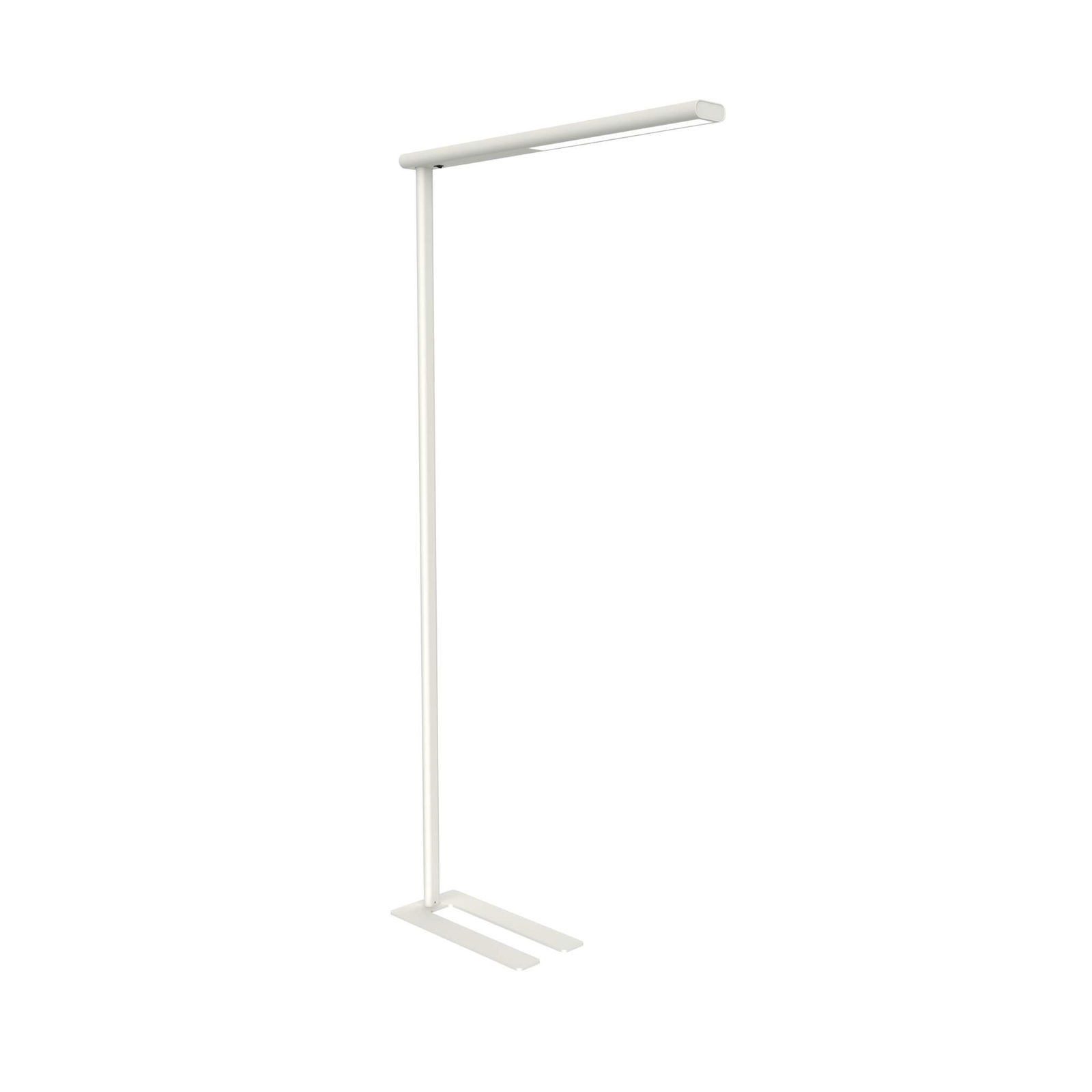 MAUL Stehlampe MAUL Standleuchte MAULjet LED 4.000 K Standfuß 195 cm weiß, LED wechselbar