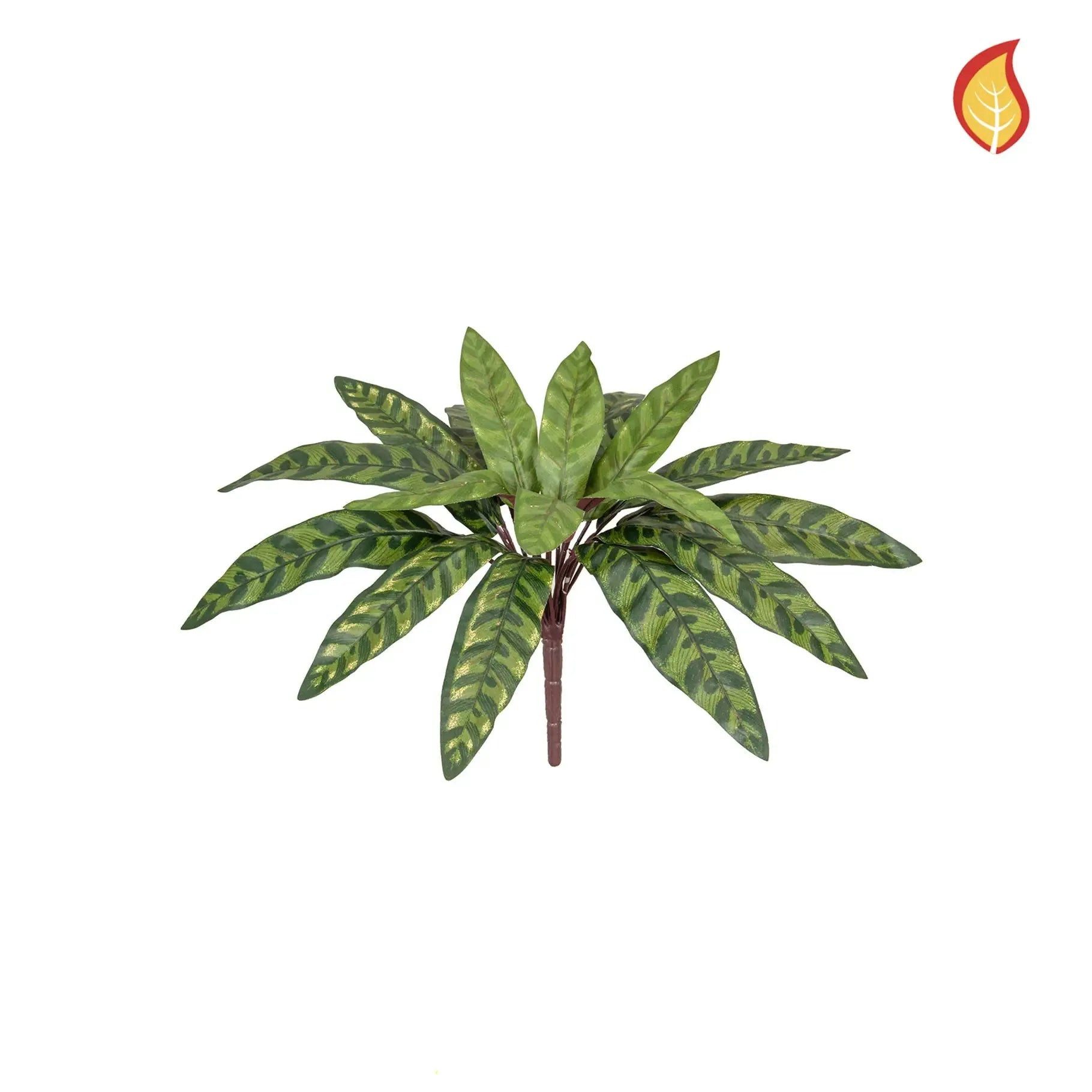 Kunstpflanze Künstliche Calathea - Hermann, 37 cm, aplanta