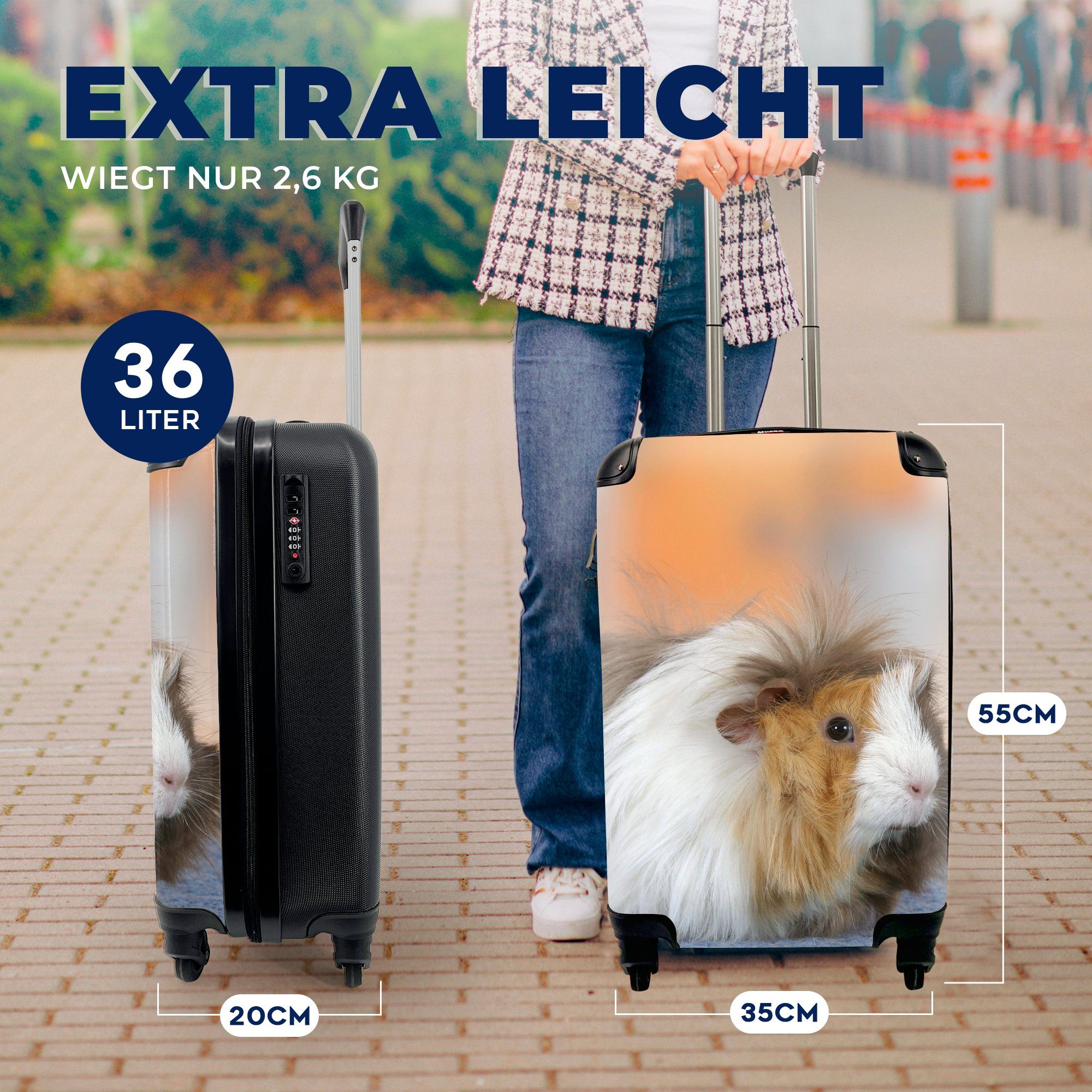 Handgepäckkoffer rollen, MuchoWow Handgepäck Reisekoffer für Mini-Meerschweinchen, Trolley, Ferien, 4 mit Reisetasche Rollen,