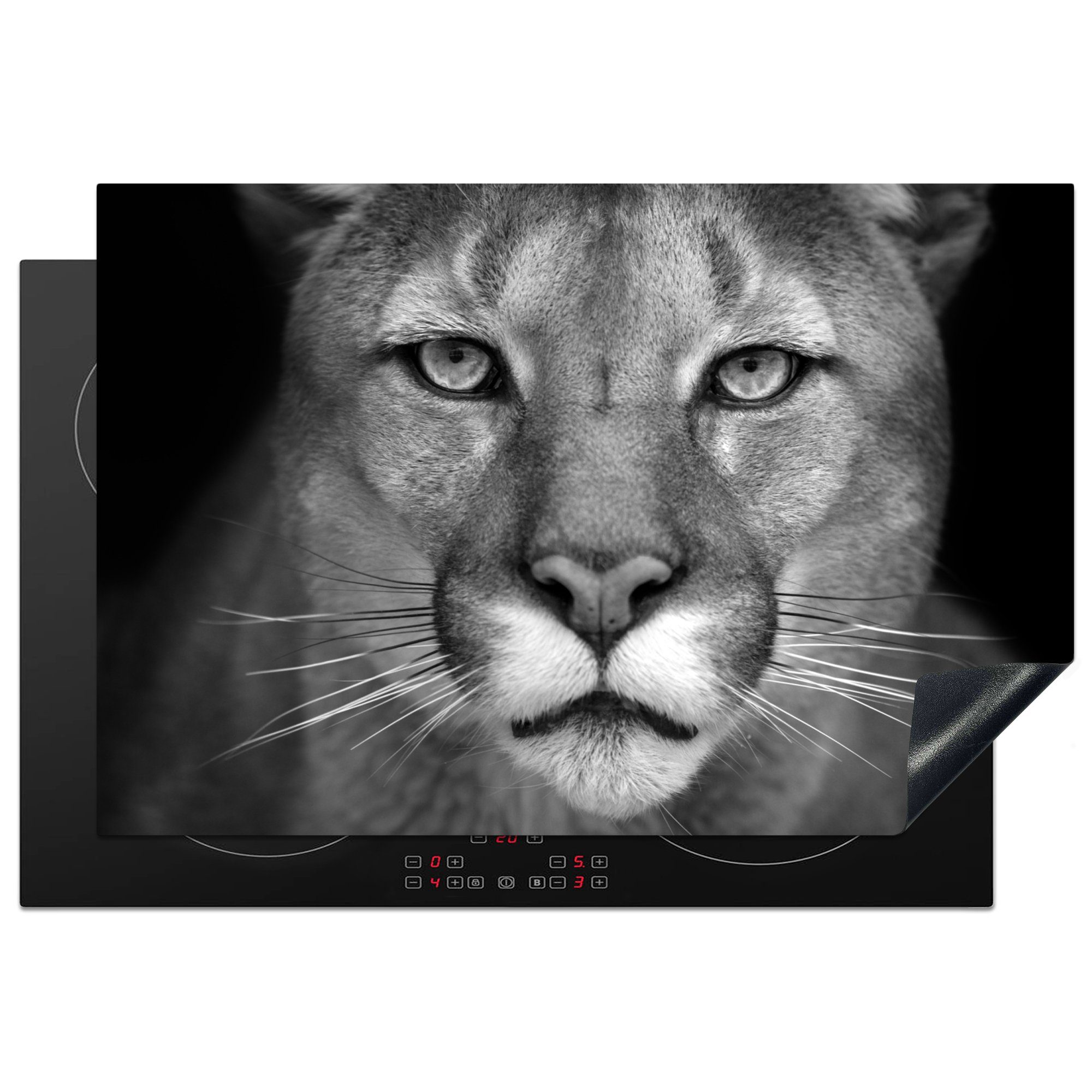 MuchoWow Herdblende-/Abdeckplatte Panther - Wildlife - Schwarz - Weiß, Vinyl, (1 tlg), 77x51 cm, Ceranfeldabdeckung, Arbeitsplatte für küche