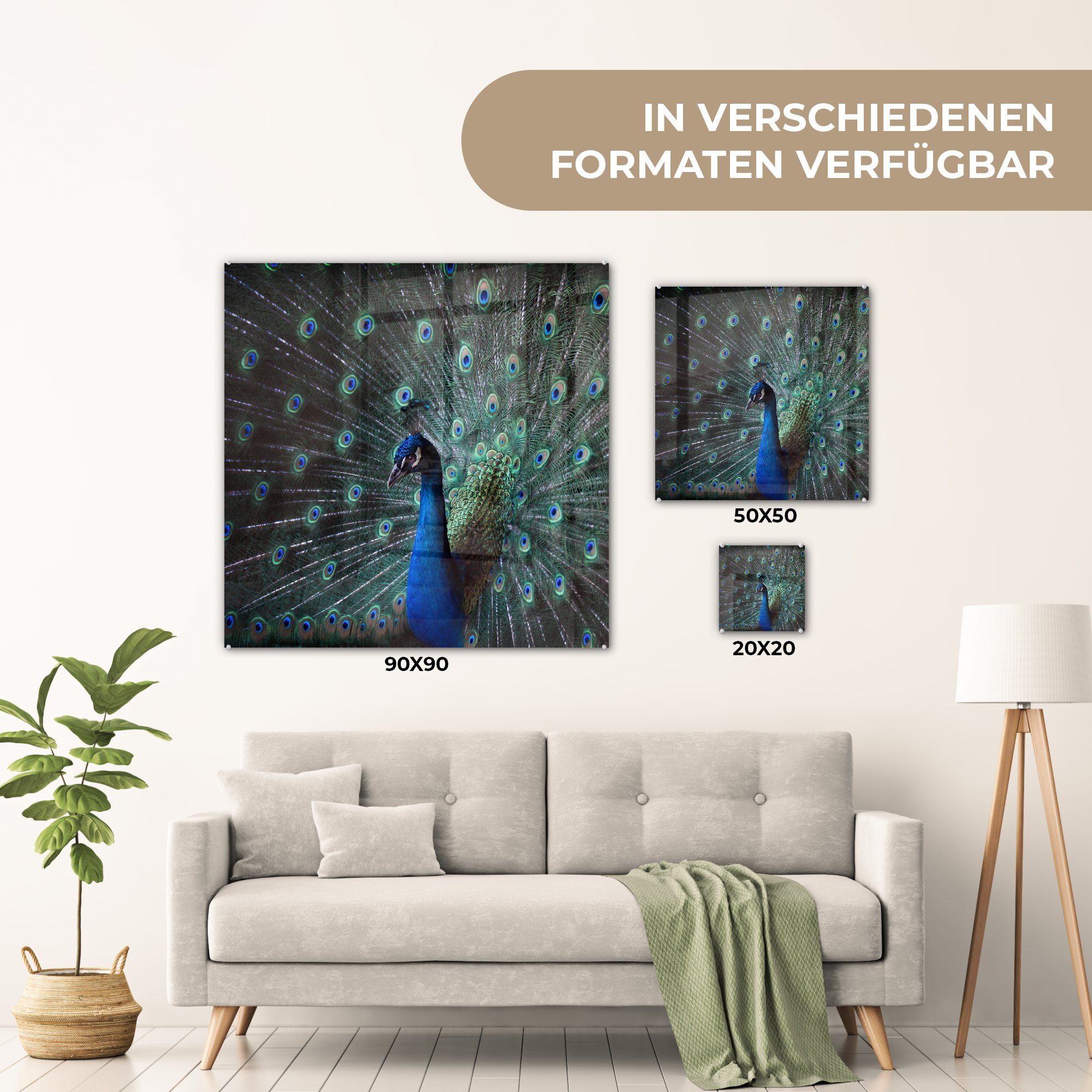 Bilder - Acrylglasbild (1 auf Glas - MuchoWow Glasbilder St), - Pfau Foto - Wandbild Federn Glas Wanddekoration Farben, - auf