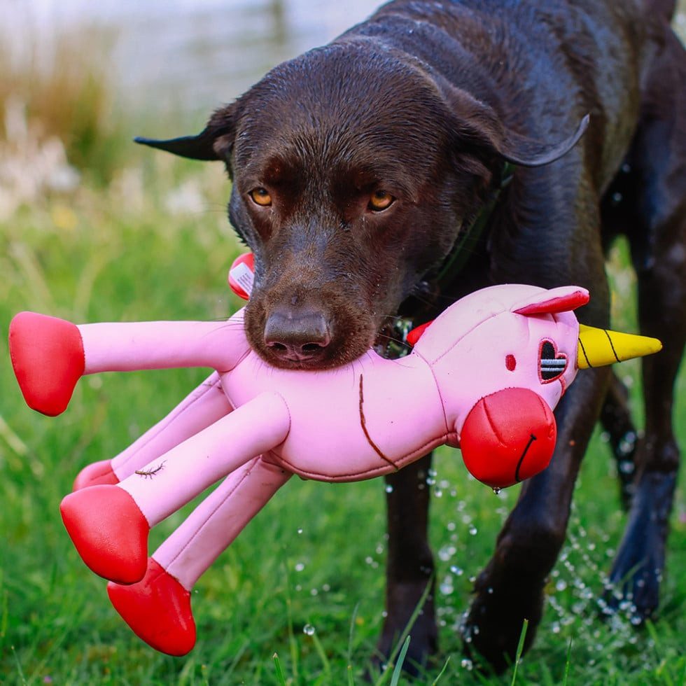 Nobby Kauspielzeug Nobby Wasserspielzeug Hund Einhorn Floating 39,5