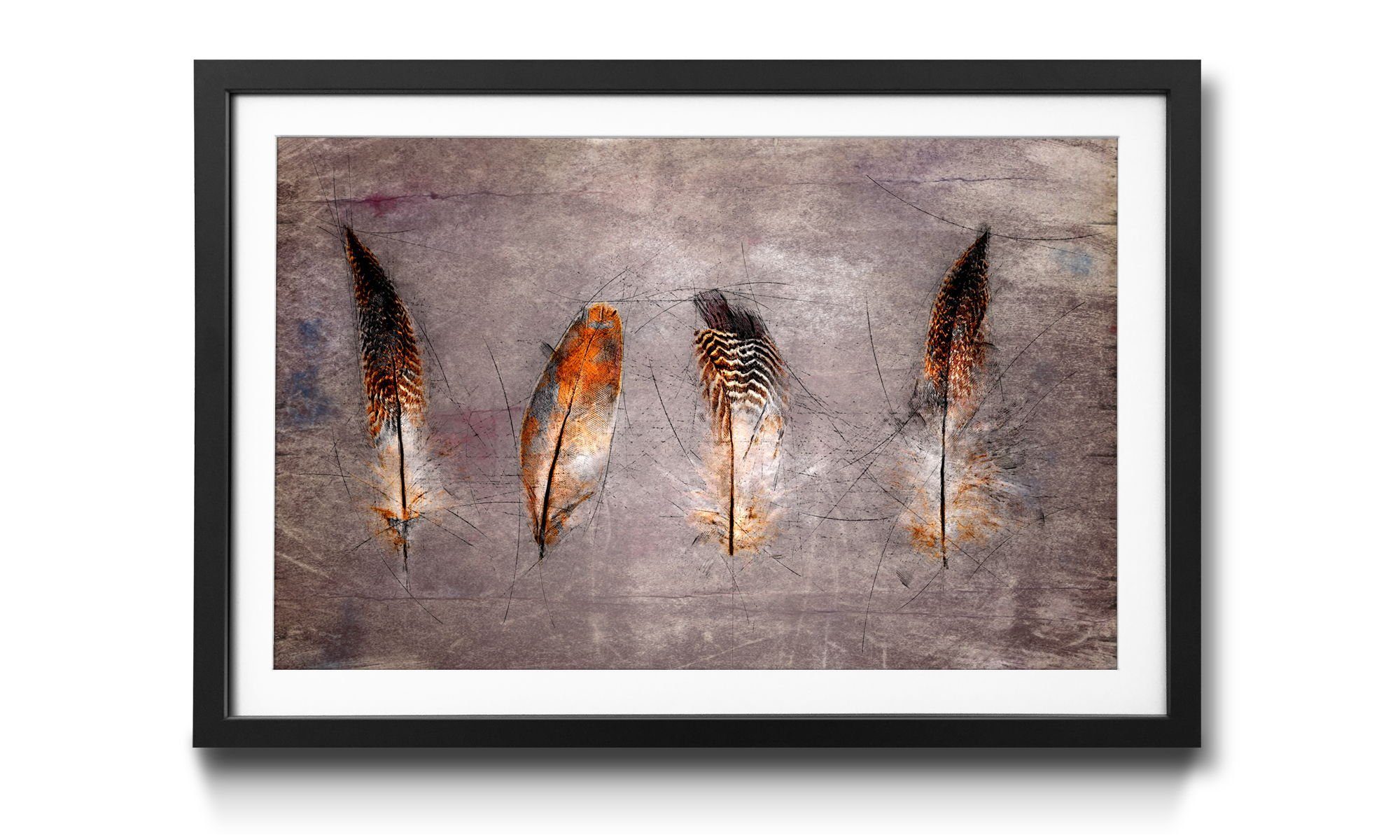 WandbilderXXL Bild mit Rahmen Four Feathers, Vogelfedern, Wandbild, in 4 Größen erhältlich | Bilder