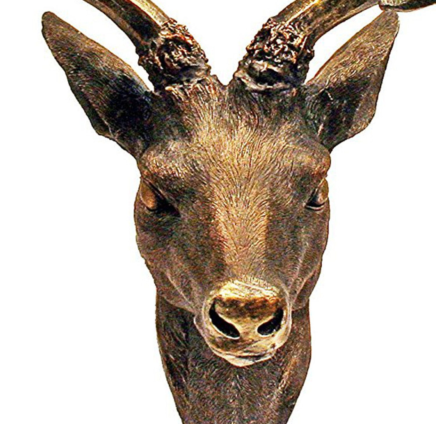 Mojawo Wanddekoobjekt XL Hirschgeweih Hirschkopf Geweih 10-Ender Bronze Opt günstig online kaufen