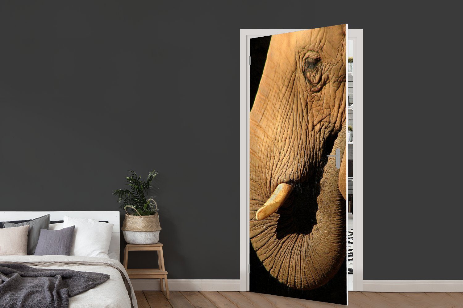 (1 Nahaufnahme Fototapete Tiere - Tür, Schwarz, 75x205 Türaufkleber, - Türtapete cm St), bedruckt, Matt, MuchoWow für - Elefant