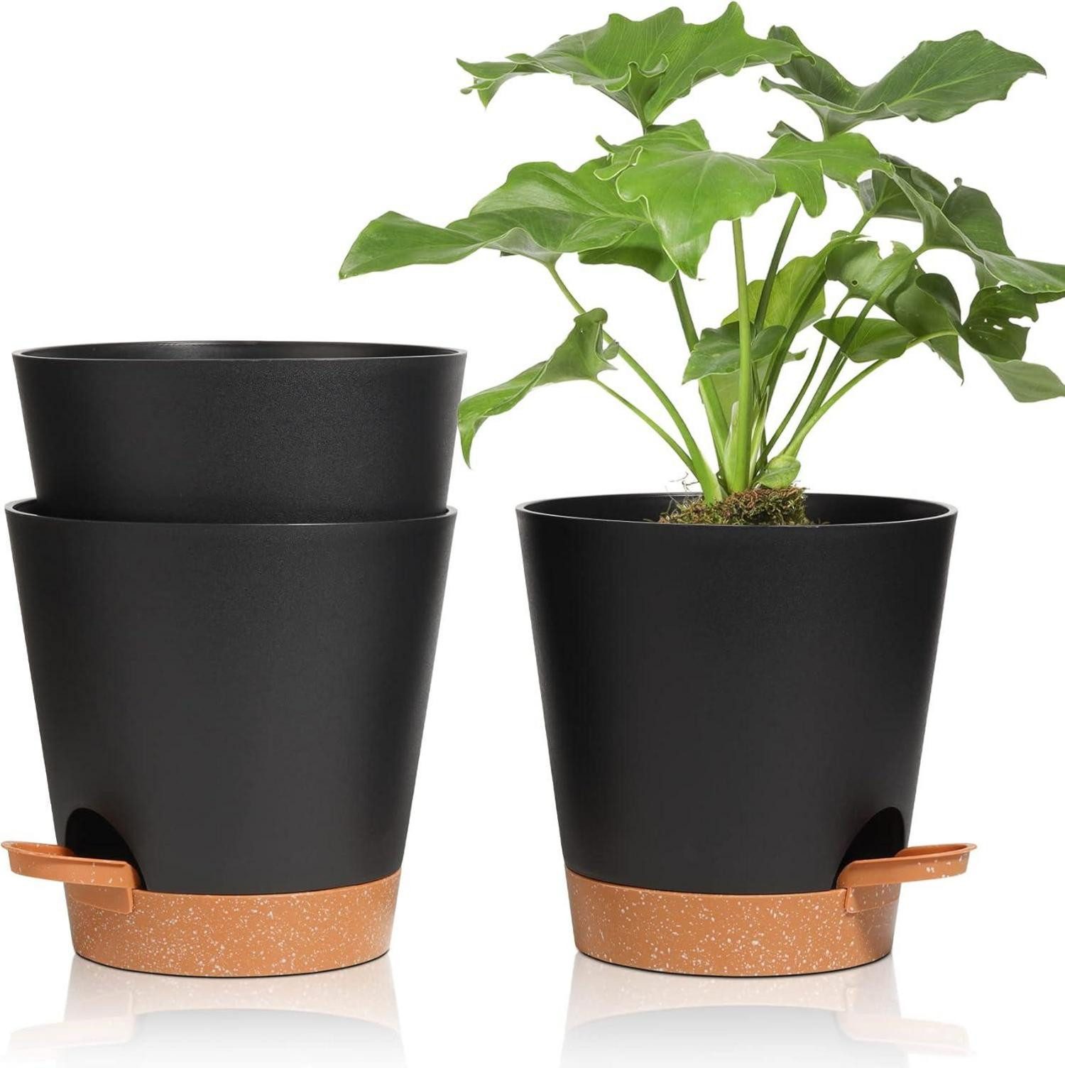 LuxusKollektion Плантатор Цветочные горшки mit Bewässerungssystem, 3er-Set