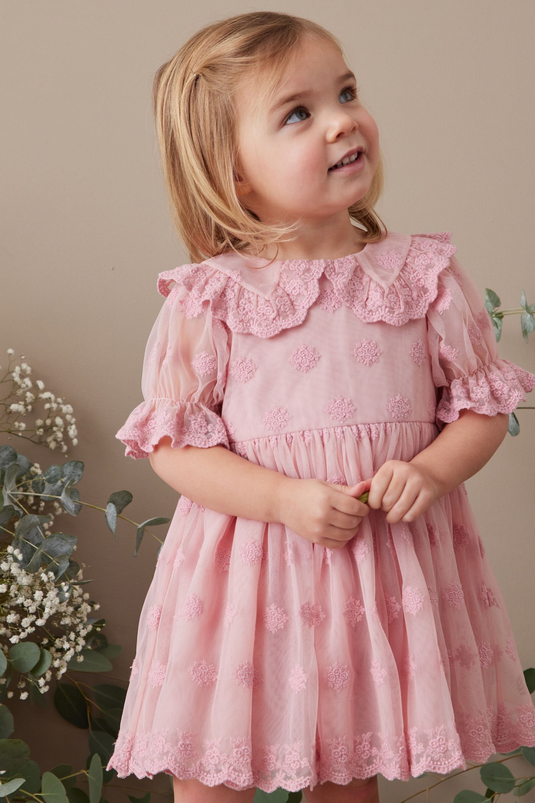 Next Partykleid Spitzenkleid für besondere Anlässe (1-tlg) Pink | Partykleider