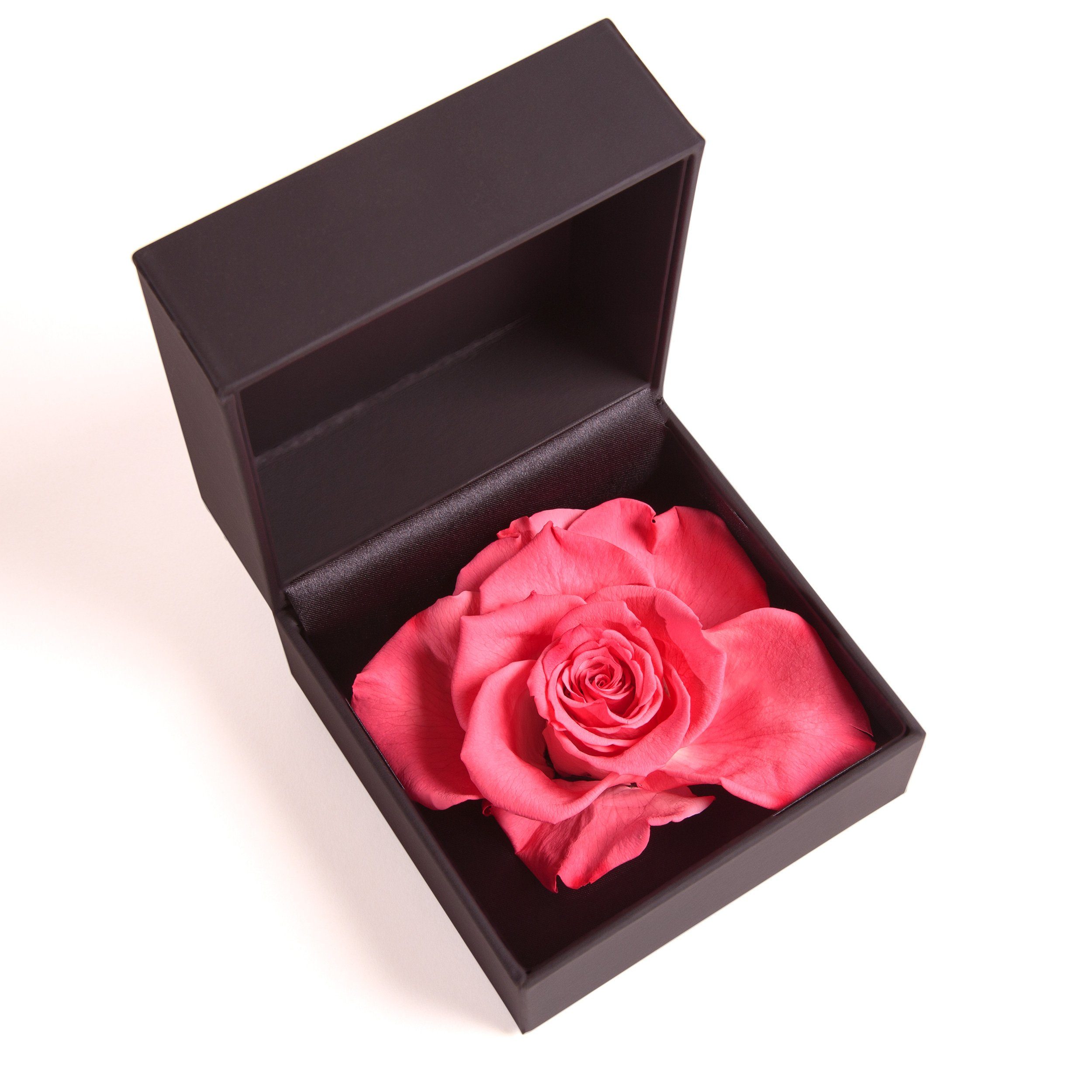 Kunstblume Rosenbox Ringbox Groß Rose Langlebige Korall ROSEMARIE konserviert cm, in Höhe Heidelberg, 9 SCHULZ Box Rose Infinity Rose, Ringdose