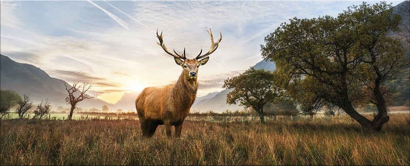 artissimo Glasbild Glasbild XXL 125x50 cm Bild aus Glas Wandbild groß Natur Tiere braun, Berge und Seen: Hirsch