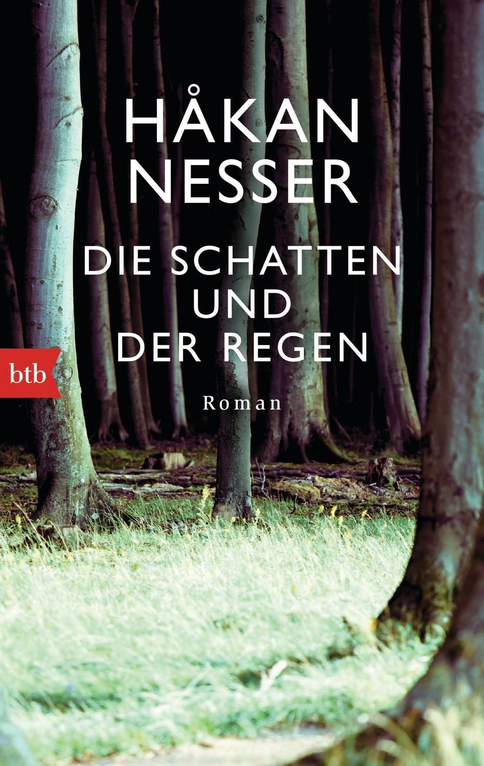 Die Schatten und der Regen / Hakan Nesser