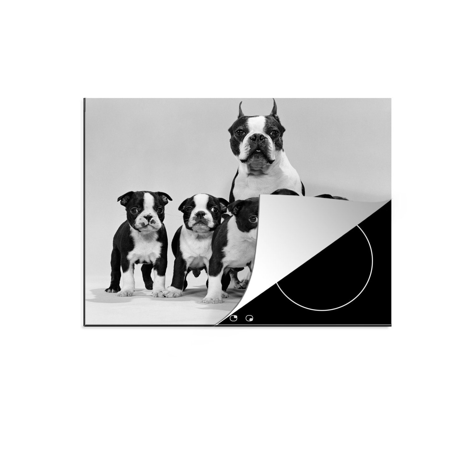 MuchoWow Herdblende-/Abdeckplatte Boston Terrier Schwarz Vinyl, Ceranfeldabdeckung cm, mit und nutzbar, Welpen Mobile in 60x52 tlg), Weiß, (1 Arbeitsfläche
