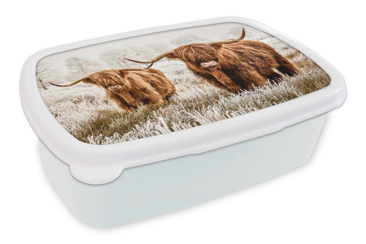 MuchoWow Lunchbox Schottischer Hochländer Mädchen Kuh Winter, weiß Natur - für und - und (2-tlg), Brotdose, Kunststoff, - Kinder für Jungs Brotbox Erwachsene