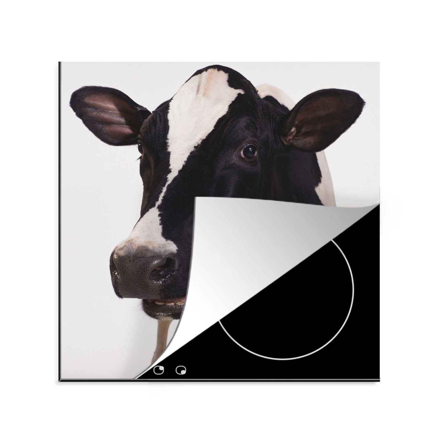 - (1 Arbeitsplatte tlg), MuchoWow - Tiere - Schwarz, cm, für küche Ceranfeldabdeckung, Kuh Herdblende-/Abdeckplatte Weiß Vinyl, 78x78