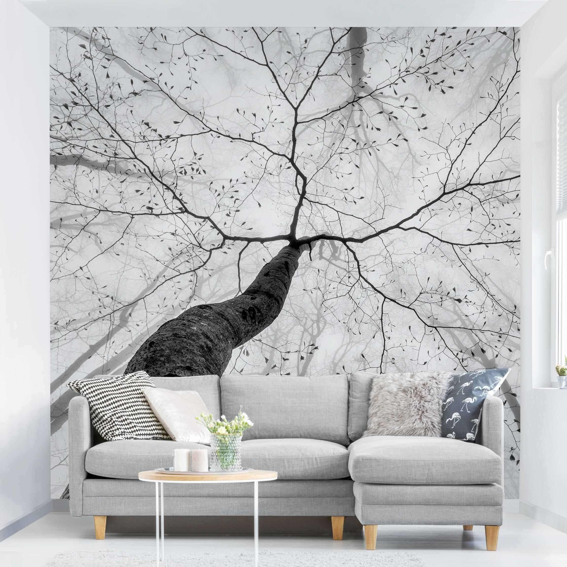 Bilderdepot24 Vliestapete Schwarz-Weiß Baumkronen Himmel 3D-Optik Natur Wald Nebel Wanddeko, Glatt, Matt, (Vliestapete inkl. Kleister oder selbstklebend), Wohnzimmer Schlafzimmer Küche Flur Fototapete Motivtapete Wandtapete