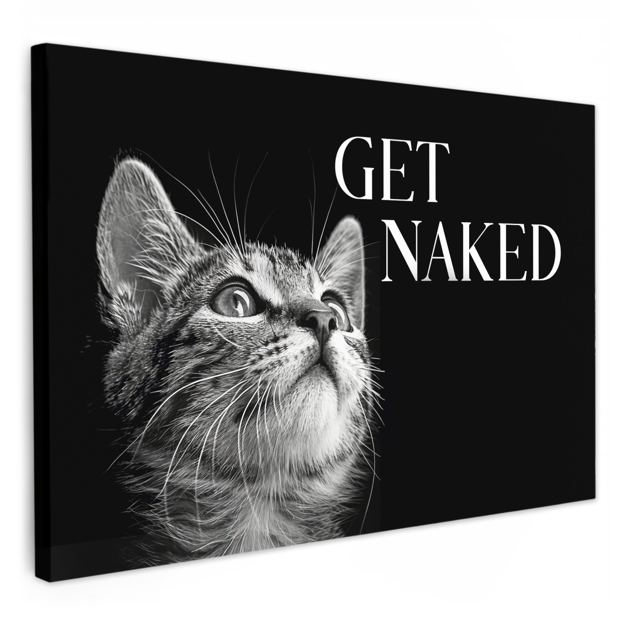 OneMillionCanvasses® Leinwandbild Katze - Tieren - günstig online kaufen