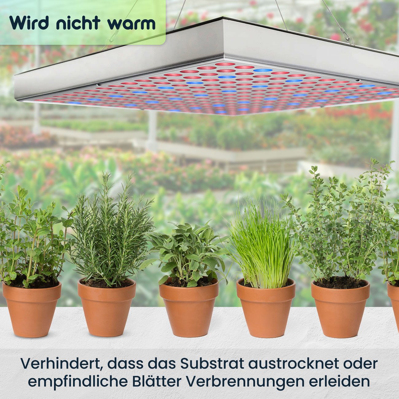 Casativo Pflanzenlampe Pflanzen-Wachstumslampe mit 225 LEDs 250 Lumen 14W 300x300x35mm, LEDs, Beleuchtungsstärke 500 Lux, 250 Lumen, Dauer 30.000 Stunden