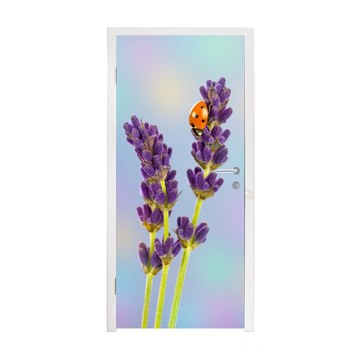 MuchoWow Türtapete Marienkäfer auf Lavendelblüte, Matt, bedruckt, (1 St), Fototapete für Tür, Türaufkleber, 75x205 cm