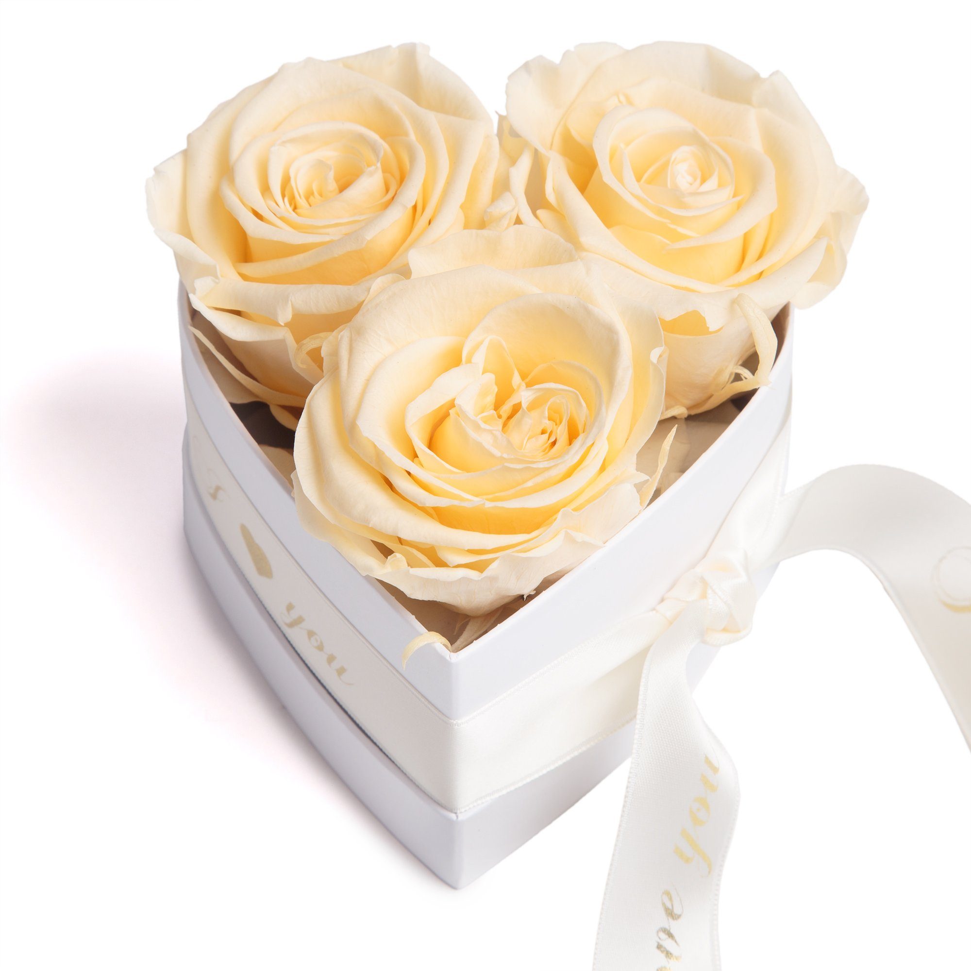 ROSEMARIE Sie Geschenk Infinity in für konservierte Valentinstag Box Heidelberg, I You Love 3 cm, Rosenbox Herz Rose, Höhe Rosen Kunstblume Champagner 8.5 SCHULZ