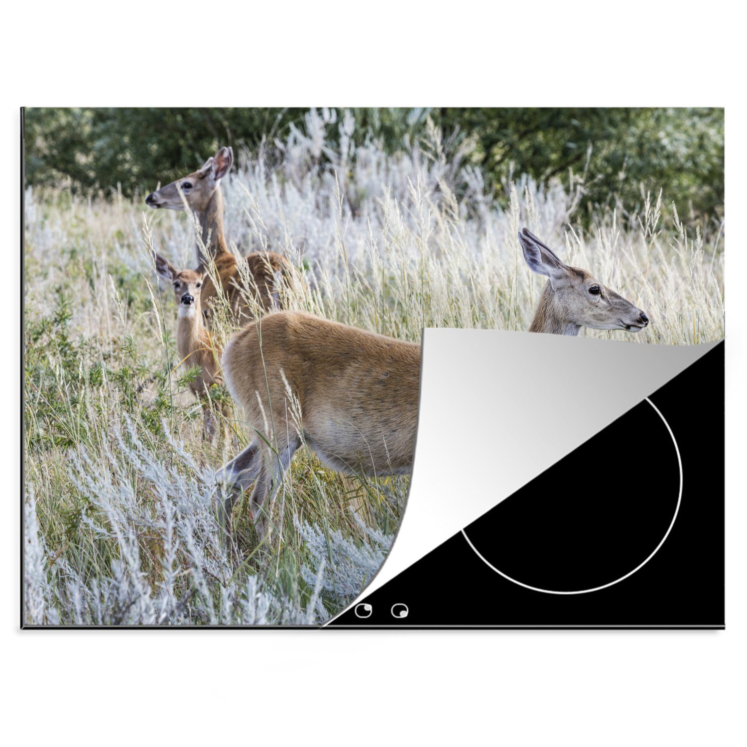 MuchoWow Herdblende-/Abdeckplatte Tiere - Rehe - Helmgras, Vinyl, (1 tlg), 70x52 cm, Mobile Arbeitsfläche nutzbar, Ceranfeldabdeckung