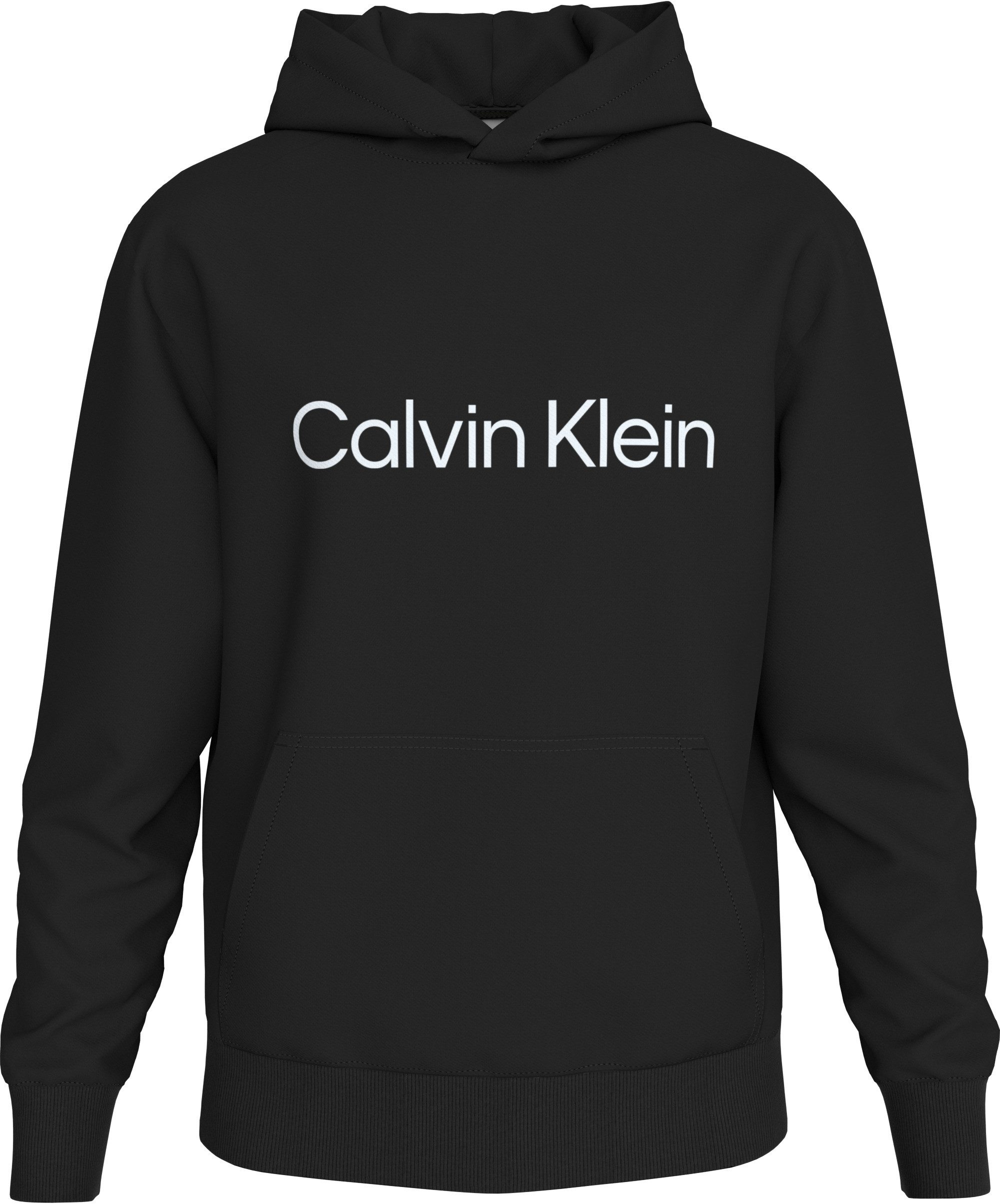 Kapuzensweatshirt LS EU STANDARD LOGO 350TERRY PO